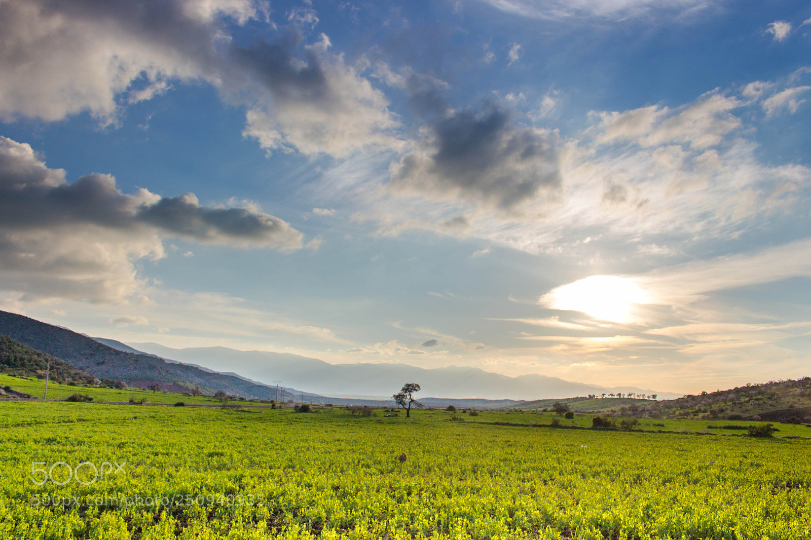 Canon EOS 700D (EOS Rebel T5i / EOS Kiss X7i) sample photo. Beni mellal nature photography
