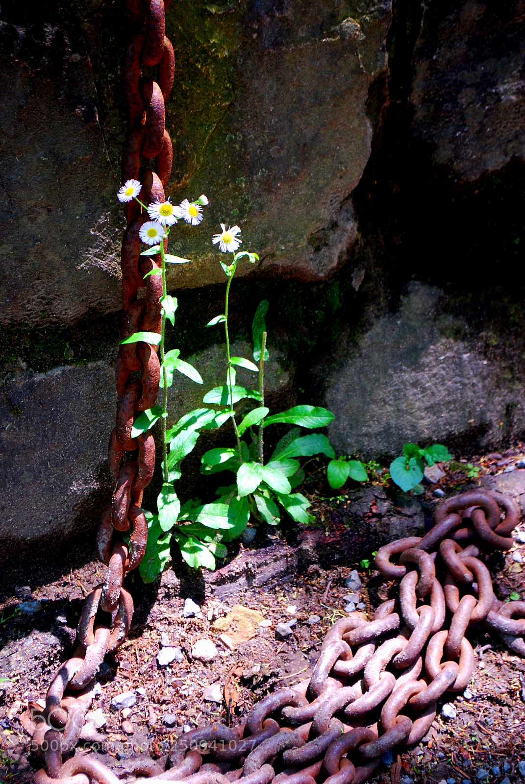Nikon D60 sample photo. Chains photography
