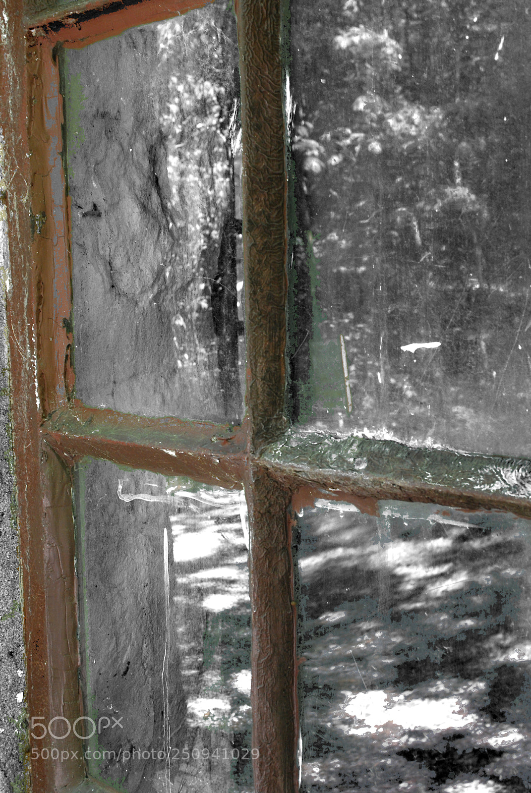 Nikon D60 sample photo. Frames photography