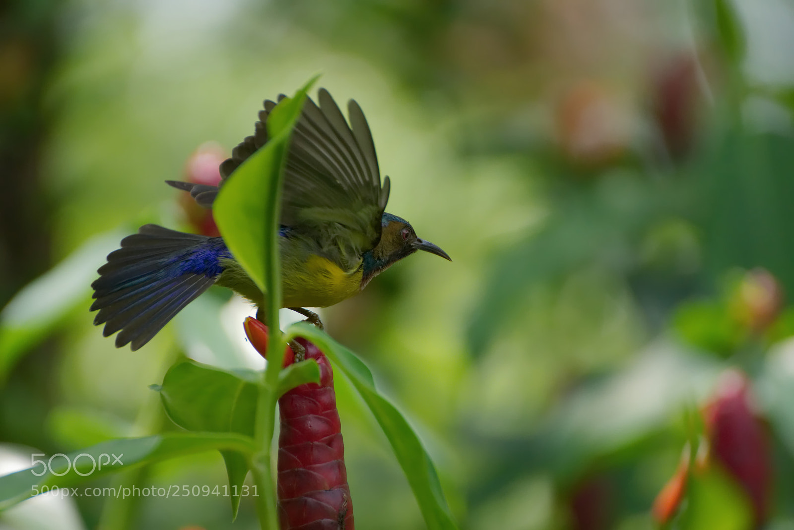 Sony a6500 sample photo. Ready, steady and ... click photography