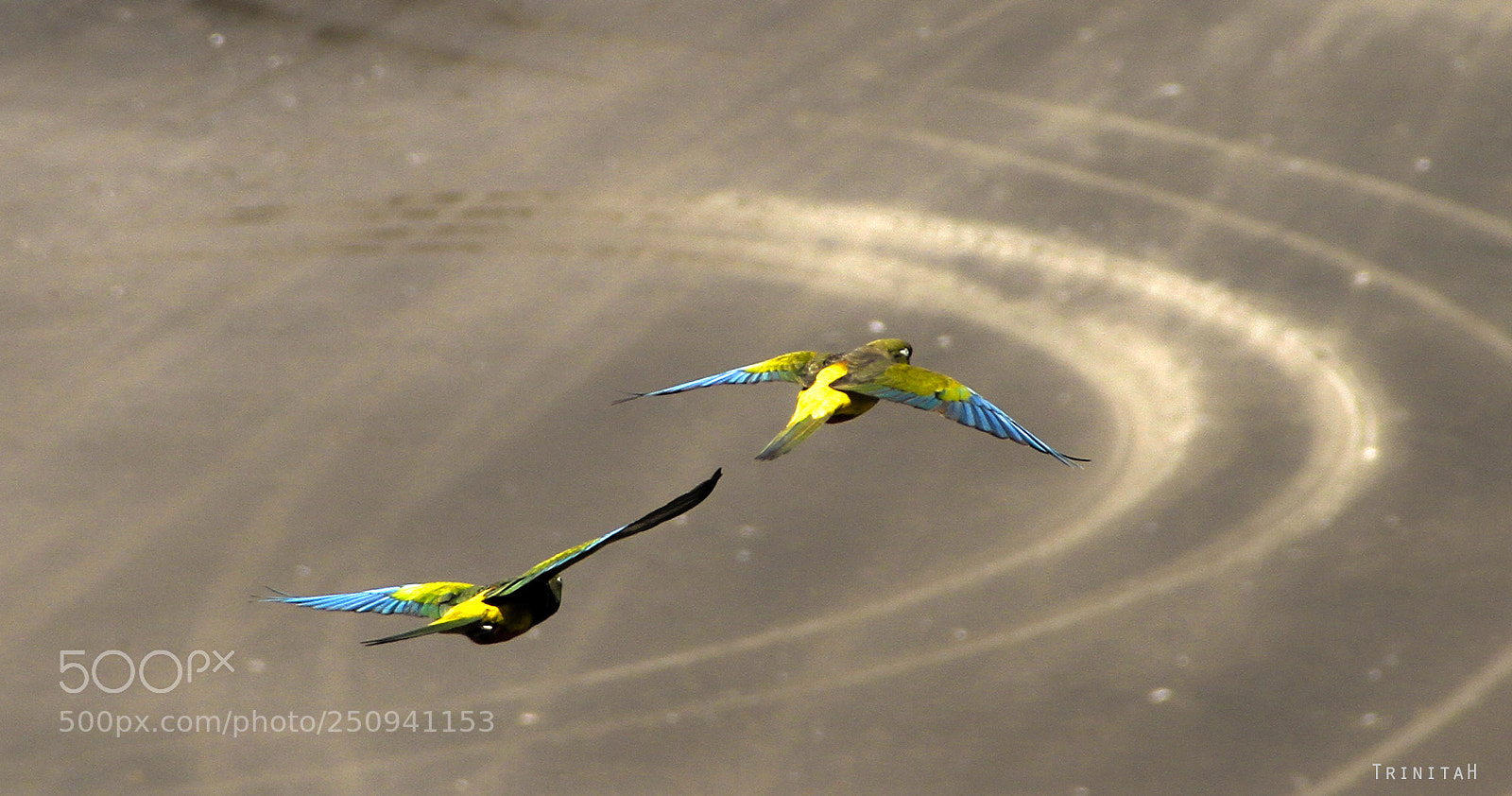 Canon EOS 7D sample photo. Vuelo de dos photography