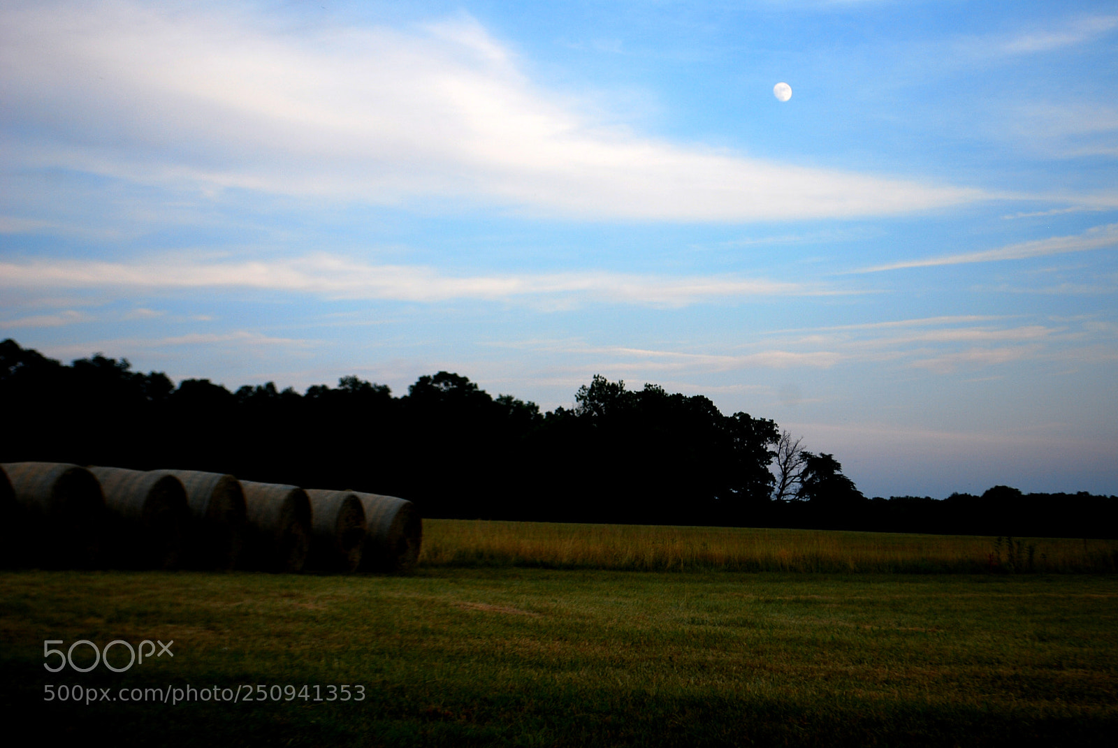 Nikon D60 sample photo. Hazy hay photography