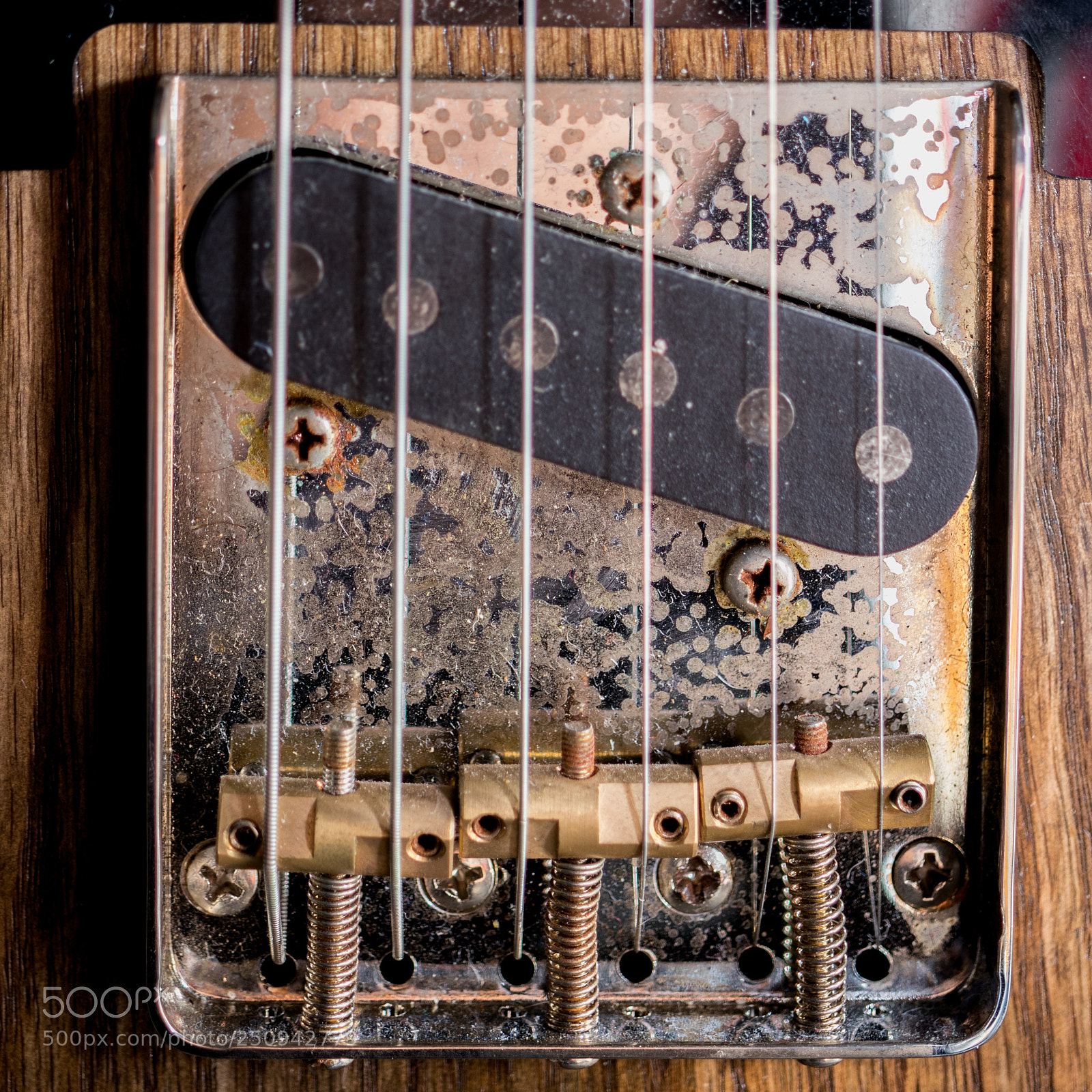 Canon EOS 80D sample photo. Punte telecaster photography