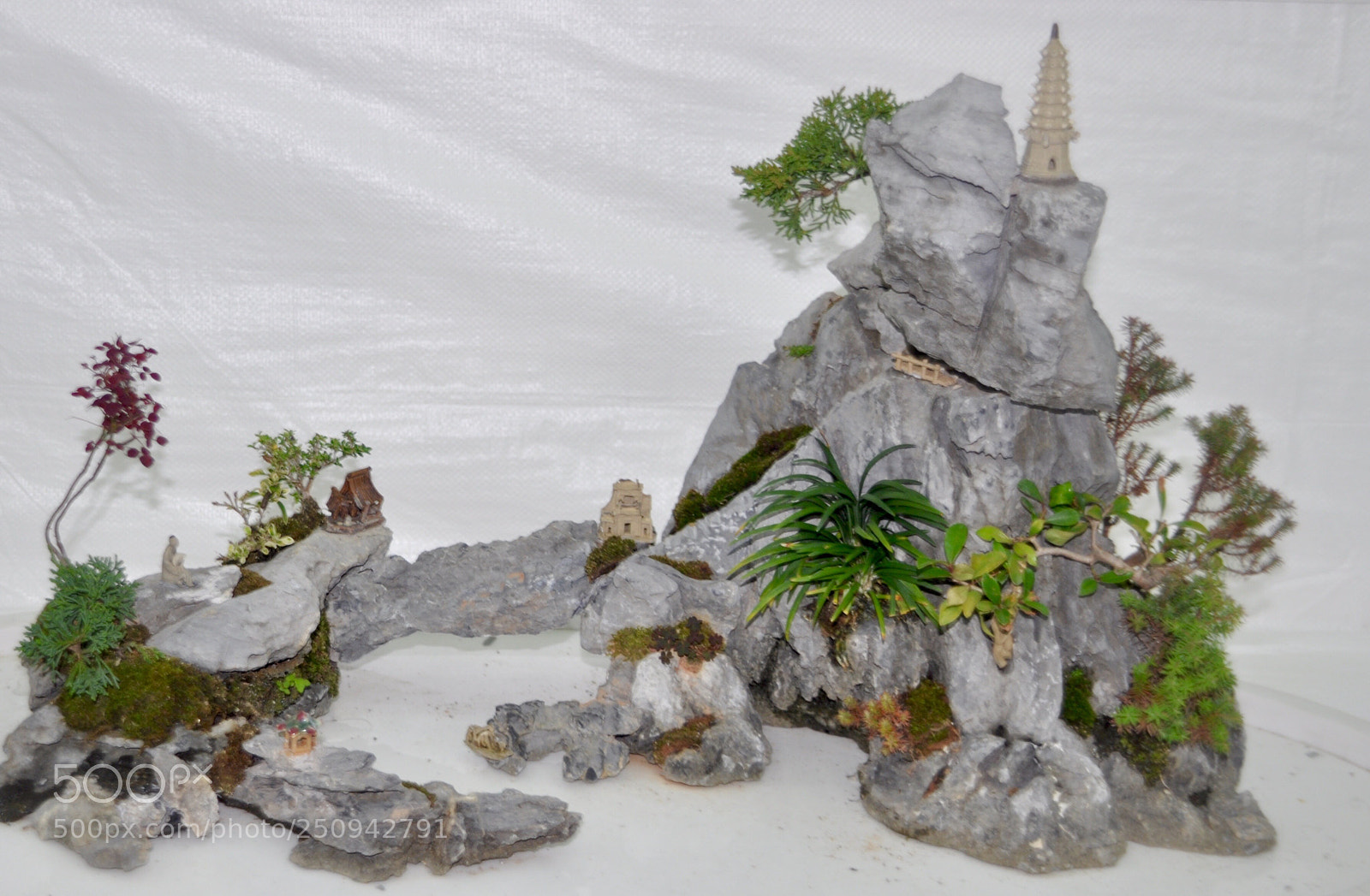 Nikon D90 sample photo. Potted mountain and water photography