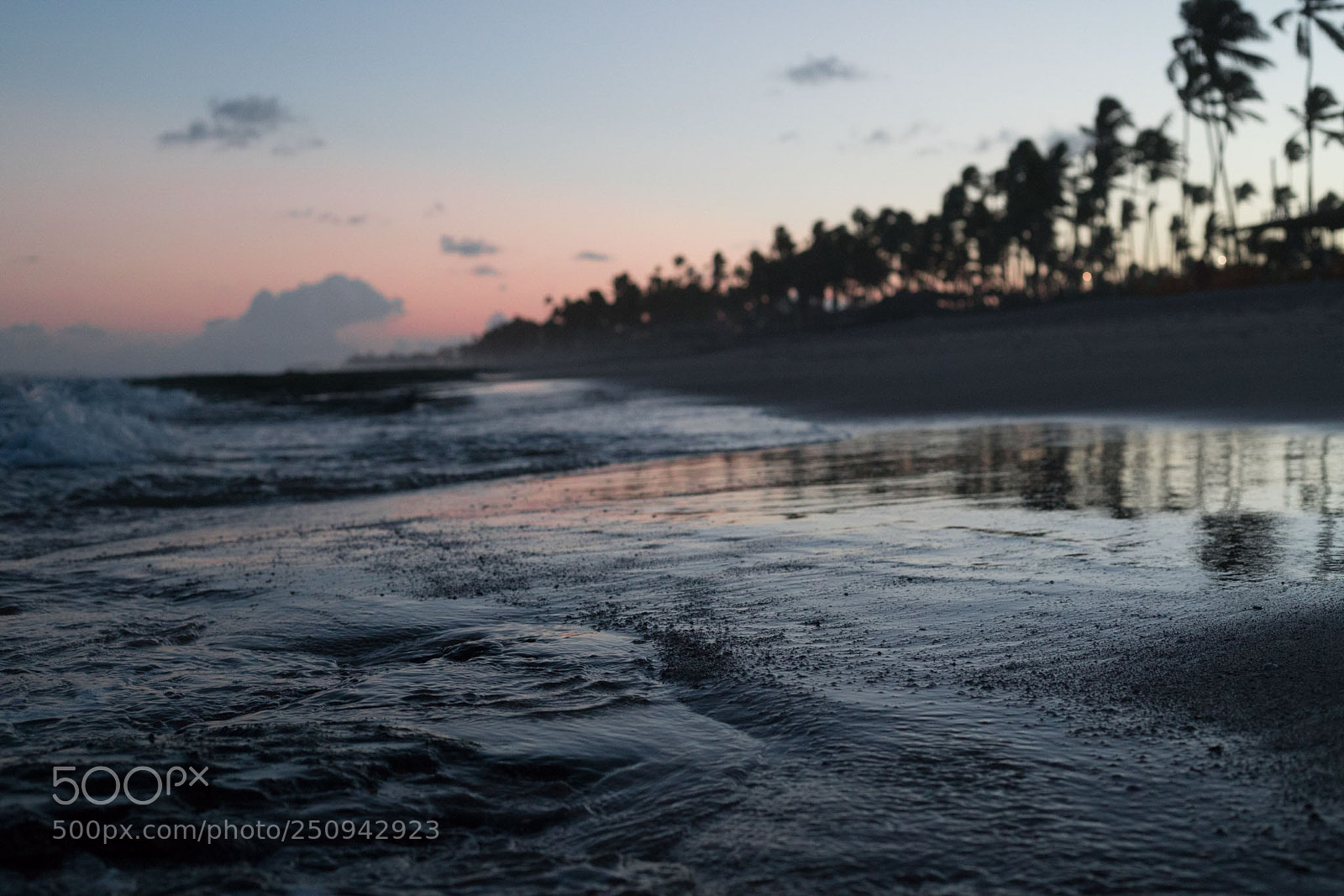 Canon EOS 6D Mark II sample photo. Keap calm photography