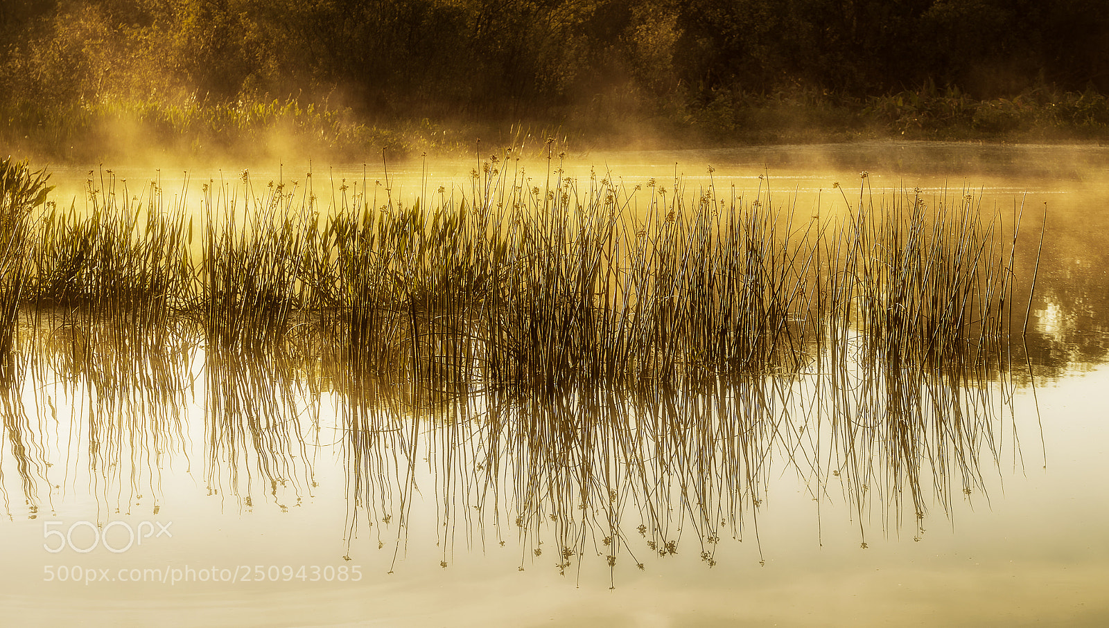 Canon EOS 5D Mark IV sample photo. Peaceful morning photography