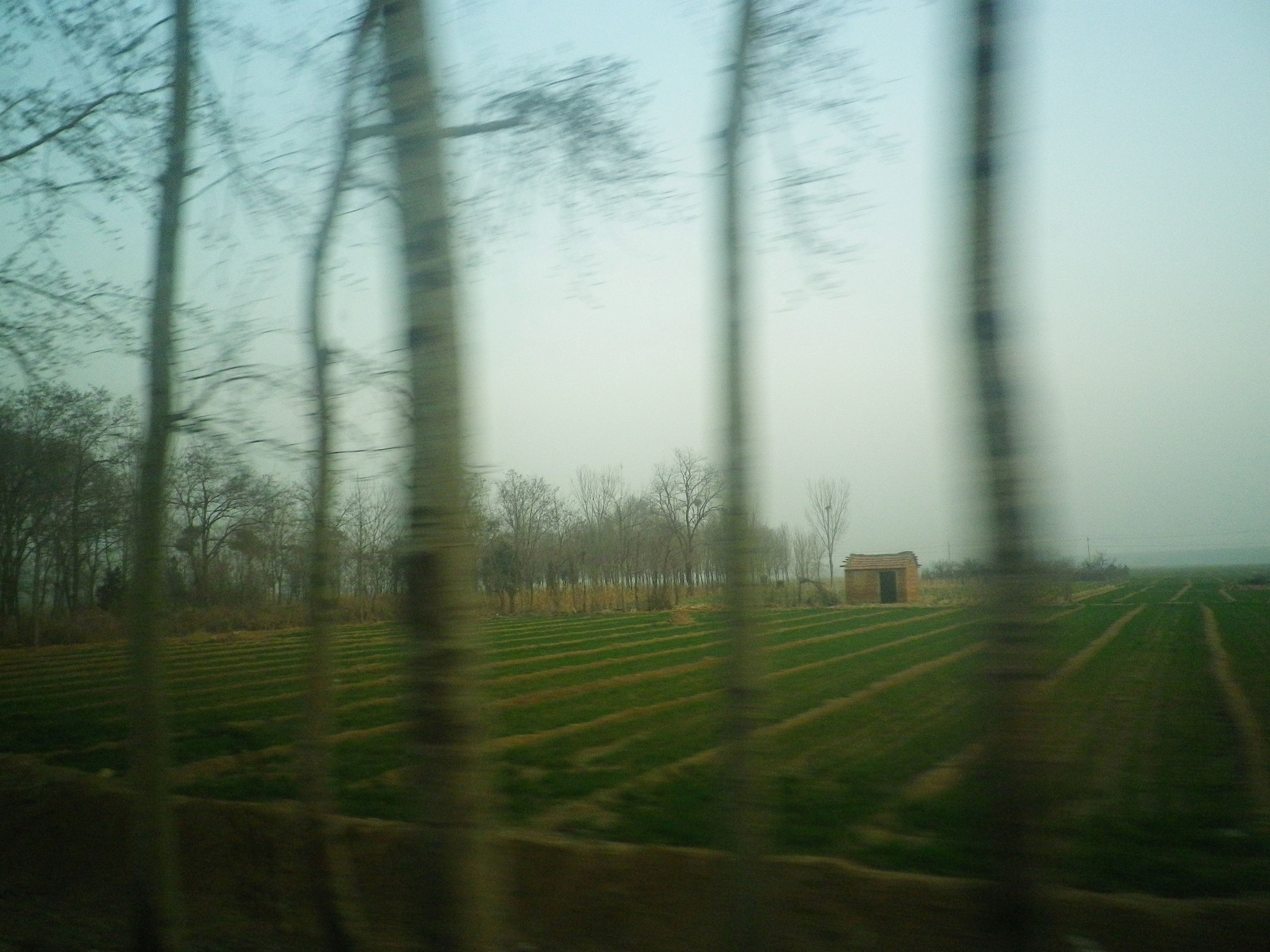 Pentax Optio H90 sample photo. 恍惚间 photography
