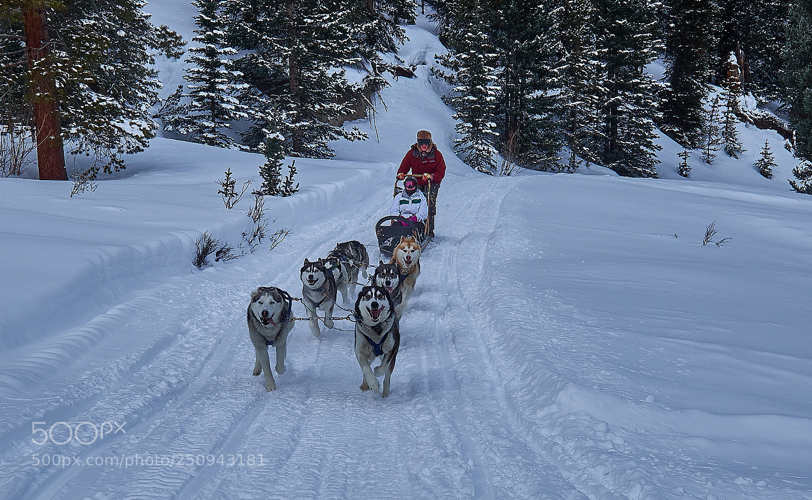 Fujifilm X-E2 sample photo. Uphill mush photography