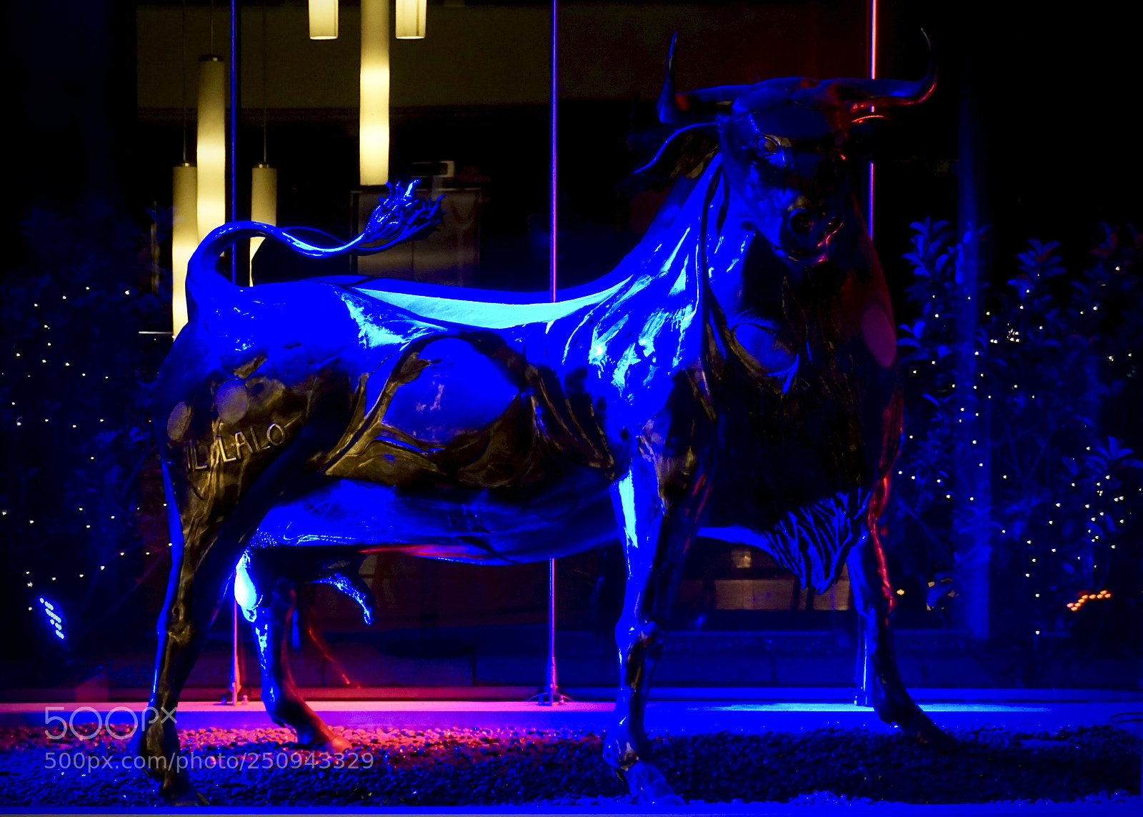 Sony a6000 sample photo. Toro il lalo photography
