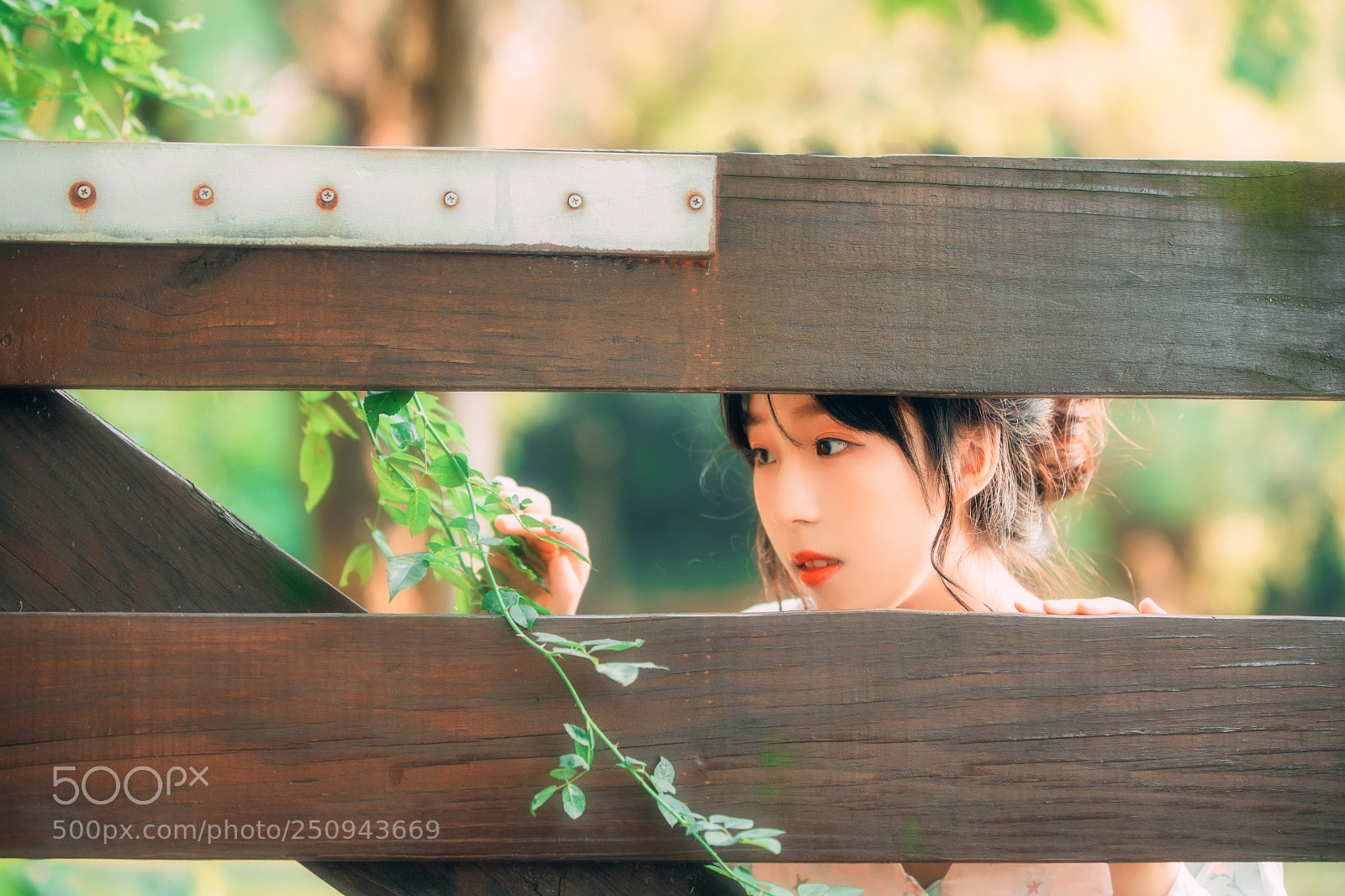 Canon EOS 5D Mark IV sample photo. Untitled photography