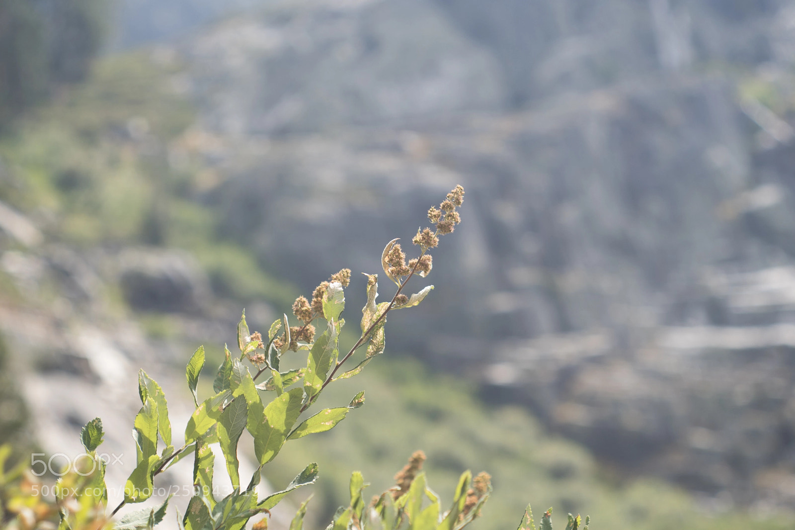 Pentax K-70 sample photo. The simple things. photography