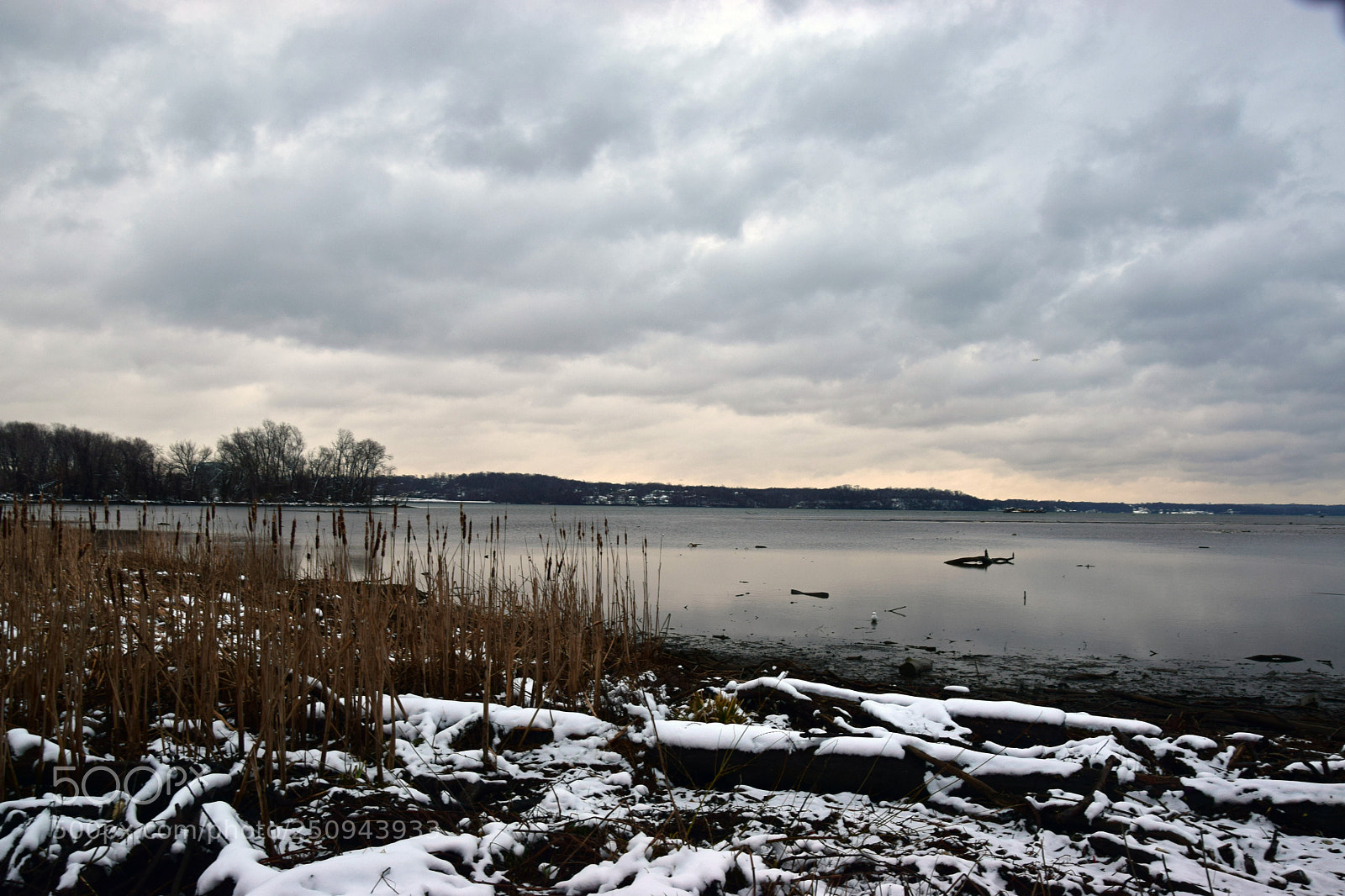 Nikon D5300 sample photo. Hunting point photography