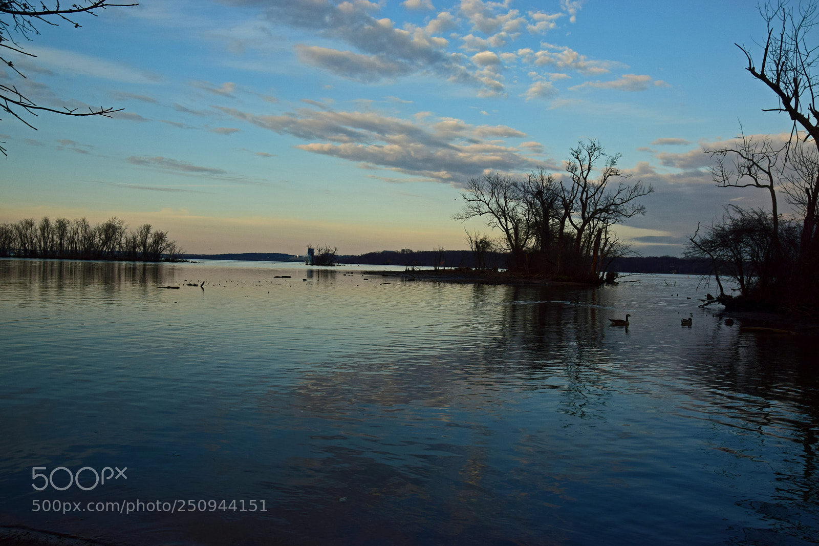 Nikon D5300 sample photo. Marsh madness photography