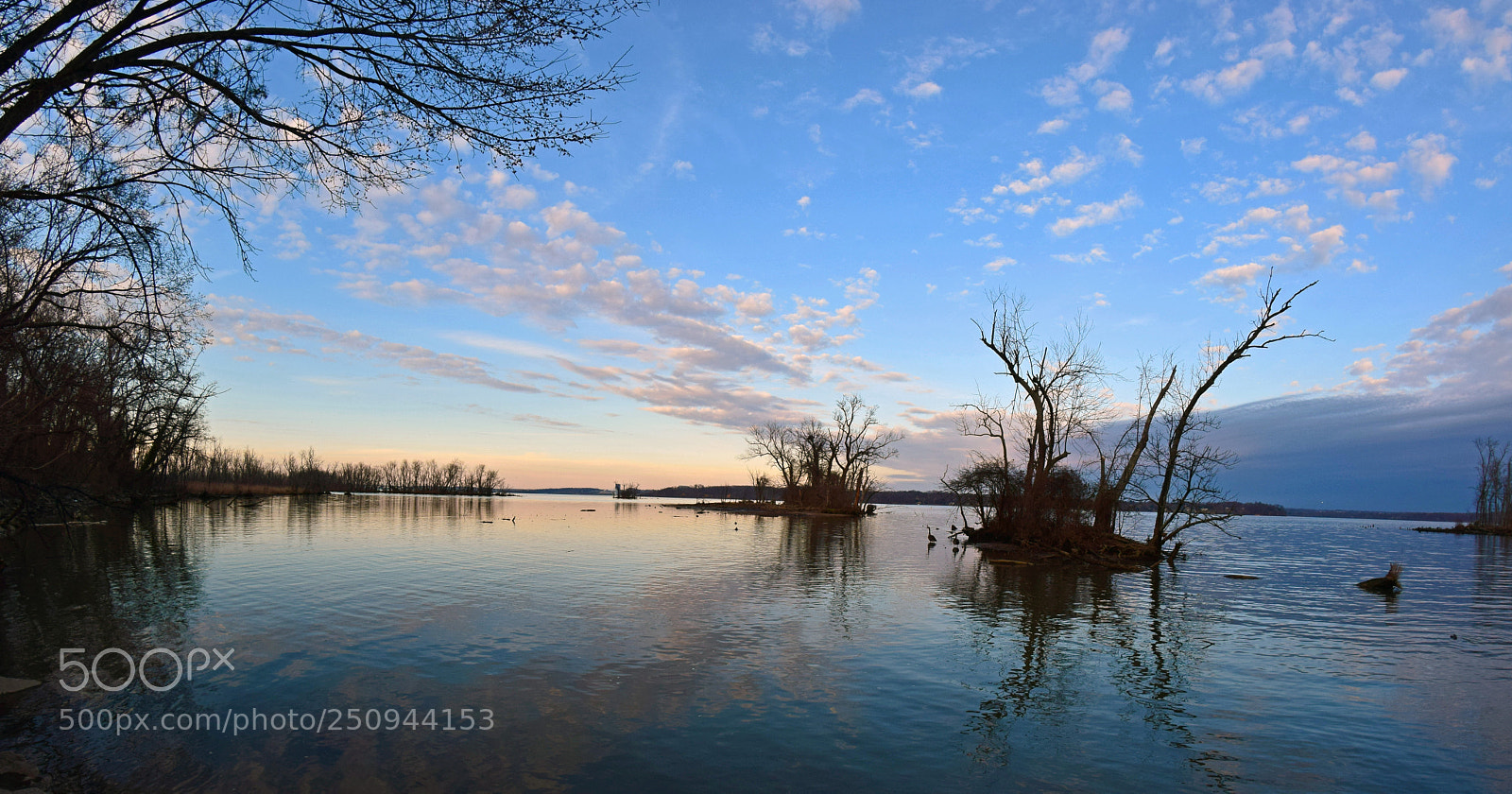 Nikon D5300 sample photo. Marsh madness photography