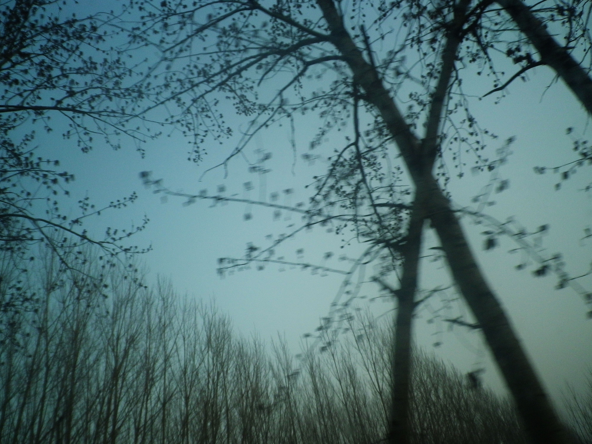Pentax Optio H90 sample photo. 构成 photography