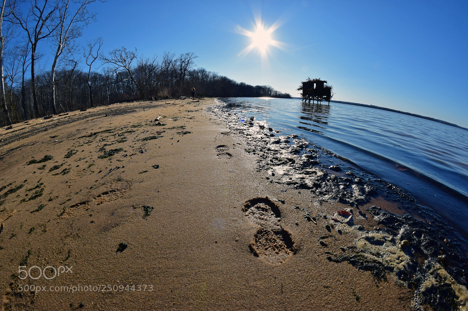 Nikon D5300 sample photo. Footprint photography