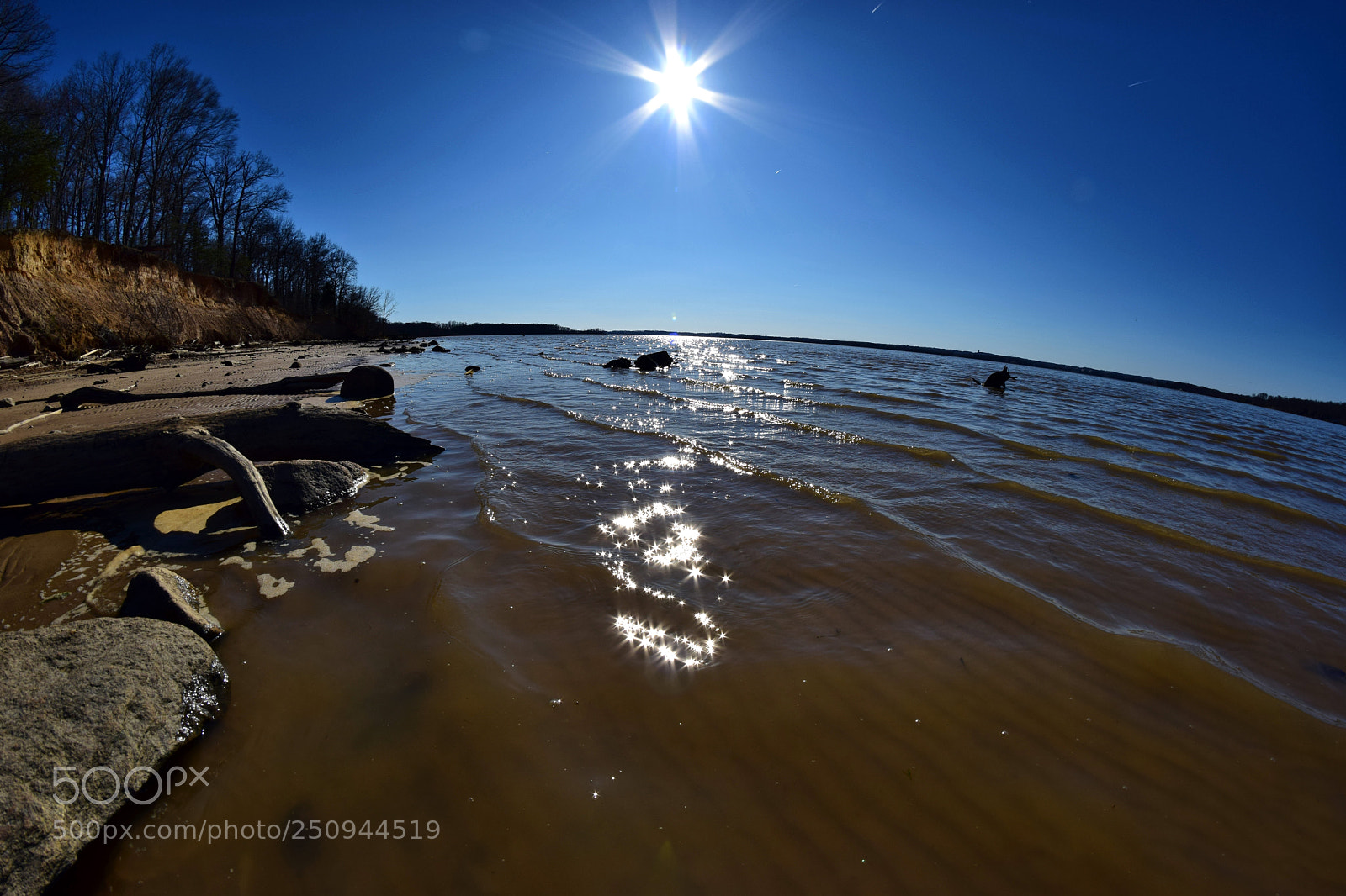Nikon D5300 sample photo. Sunburst photography