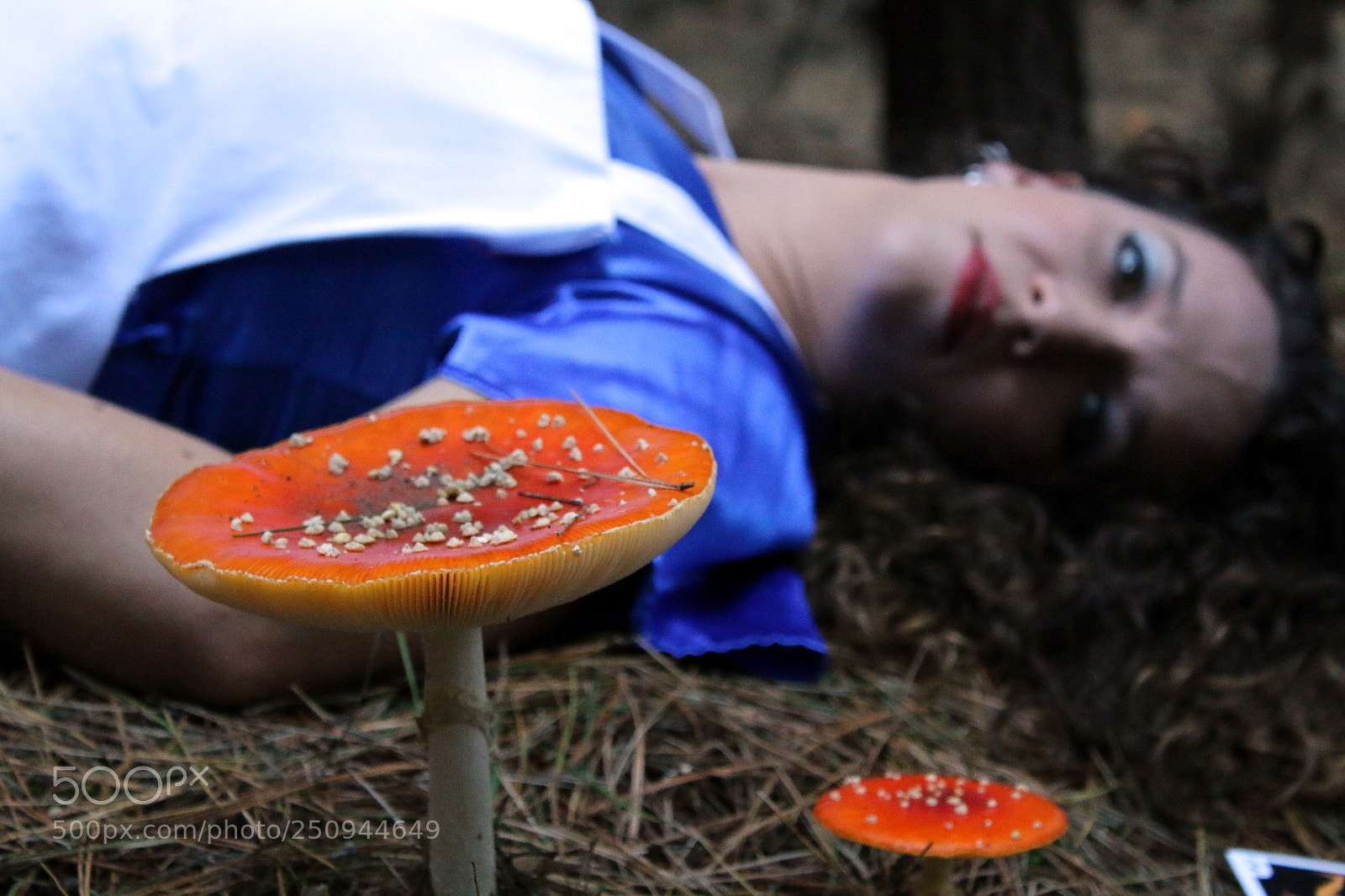 Canon EOS 70D sample photo. Alice mushroom photography