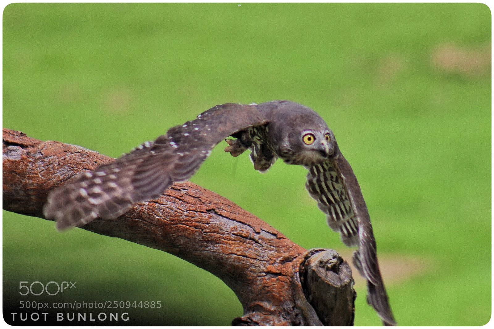Canon EOS 77D (EOS 9000D / EOS 770D) sample photo. Untitled photography