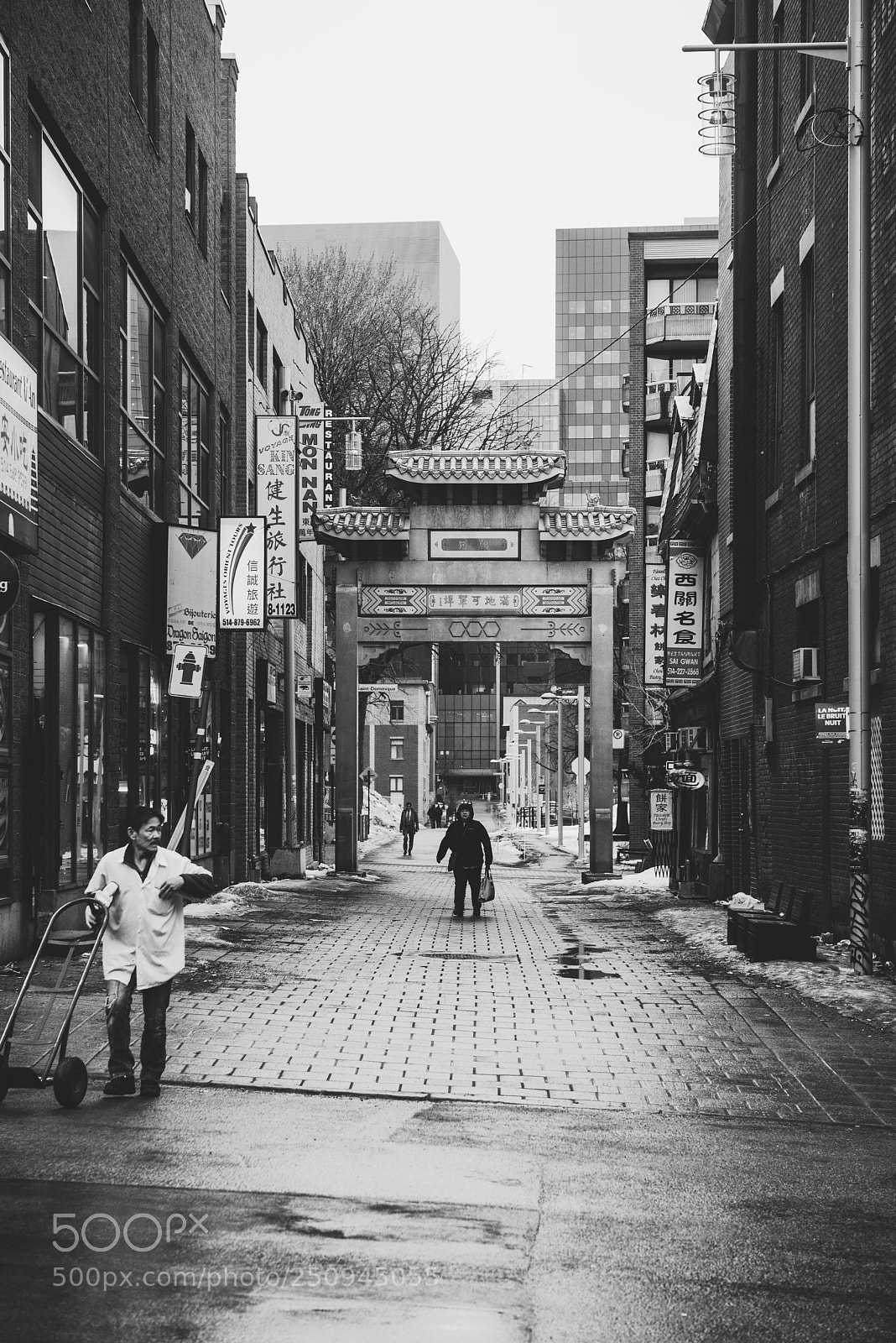 Nikon D800 sample photo. Montreal_untitled photography