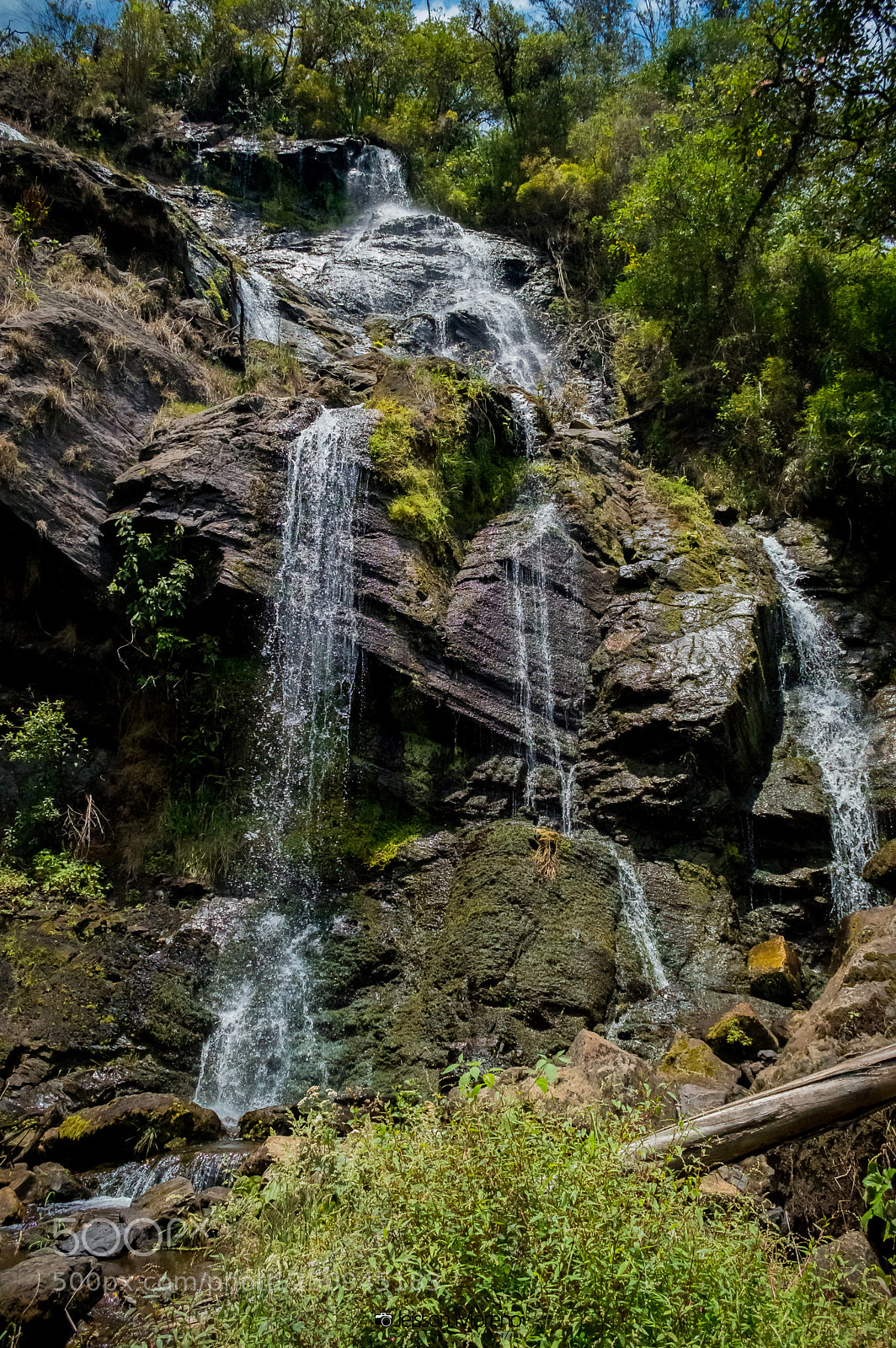 Nikon D3200 sample photo. Afluentes rio la chorrera photography