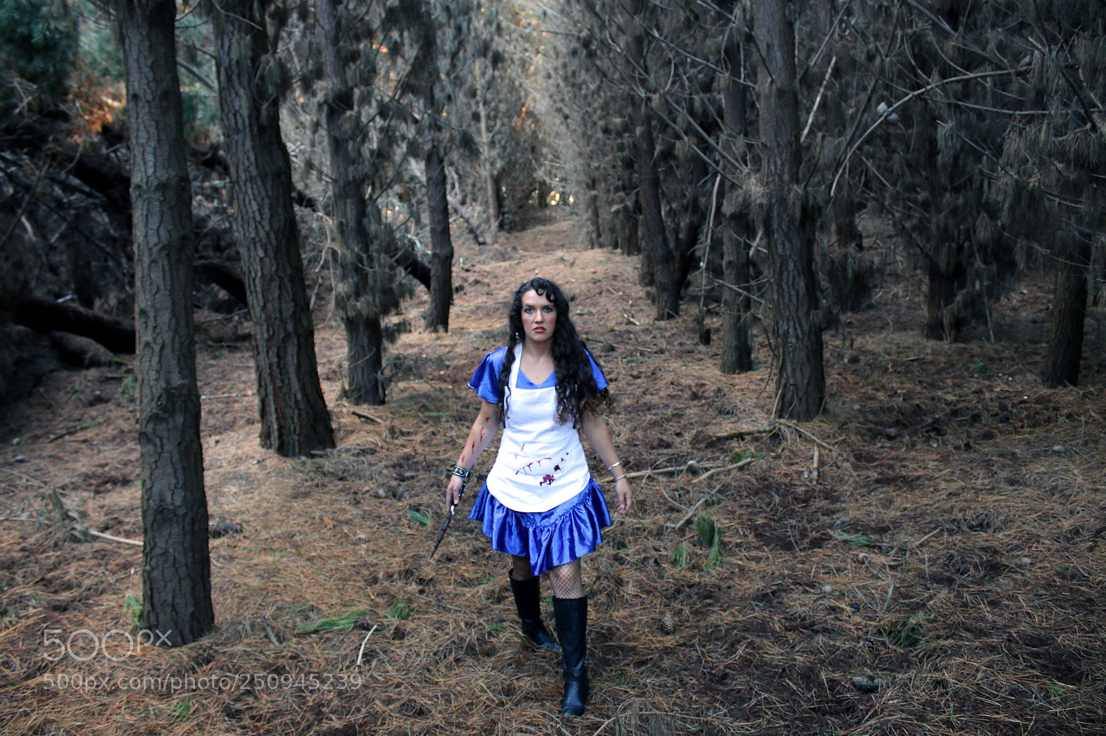 Canon EOS 70D sample photo. Alice knife photography