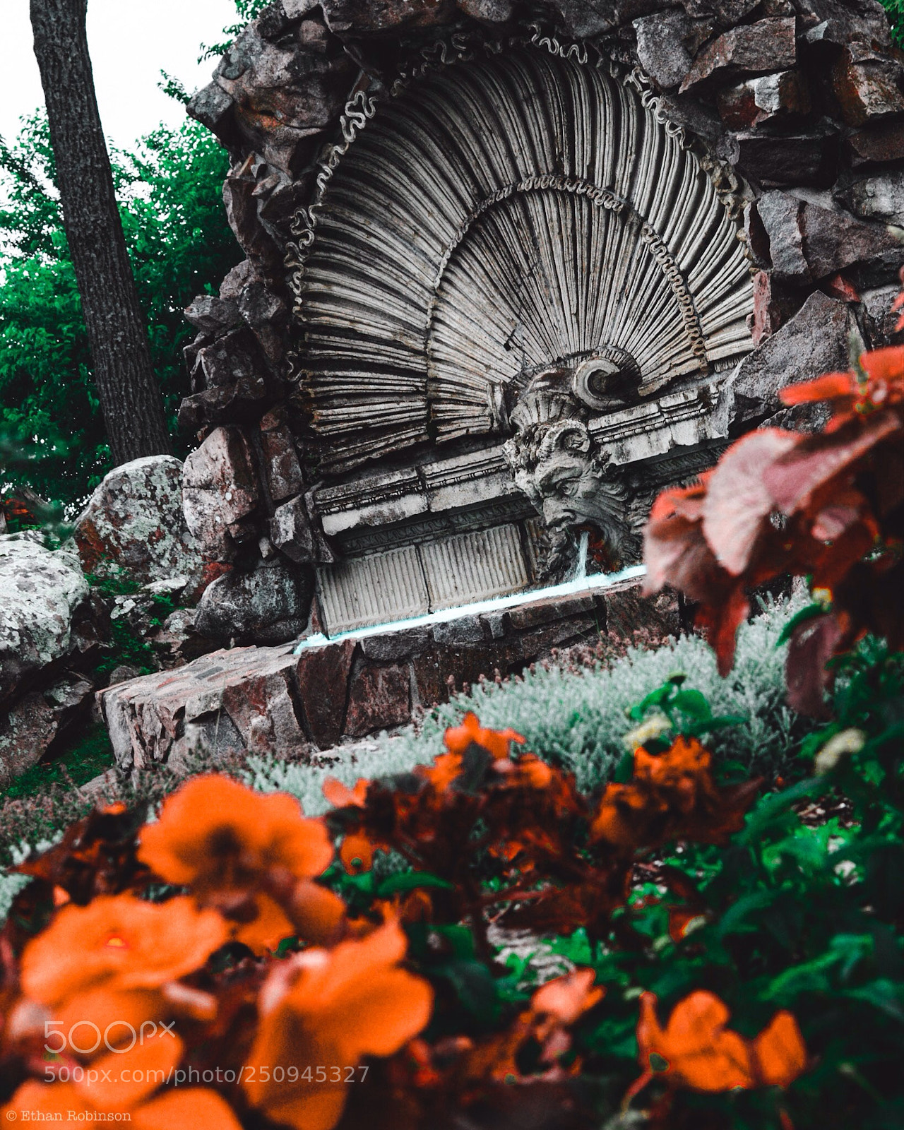 Nikon D3200 sample photo. Mouth of the fountain photography