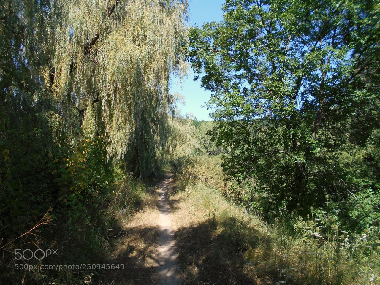 Nikon Coolpix A100 sample photo. Cdfdorig photography