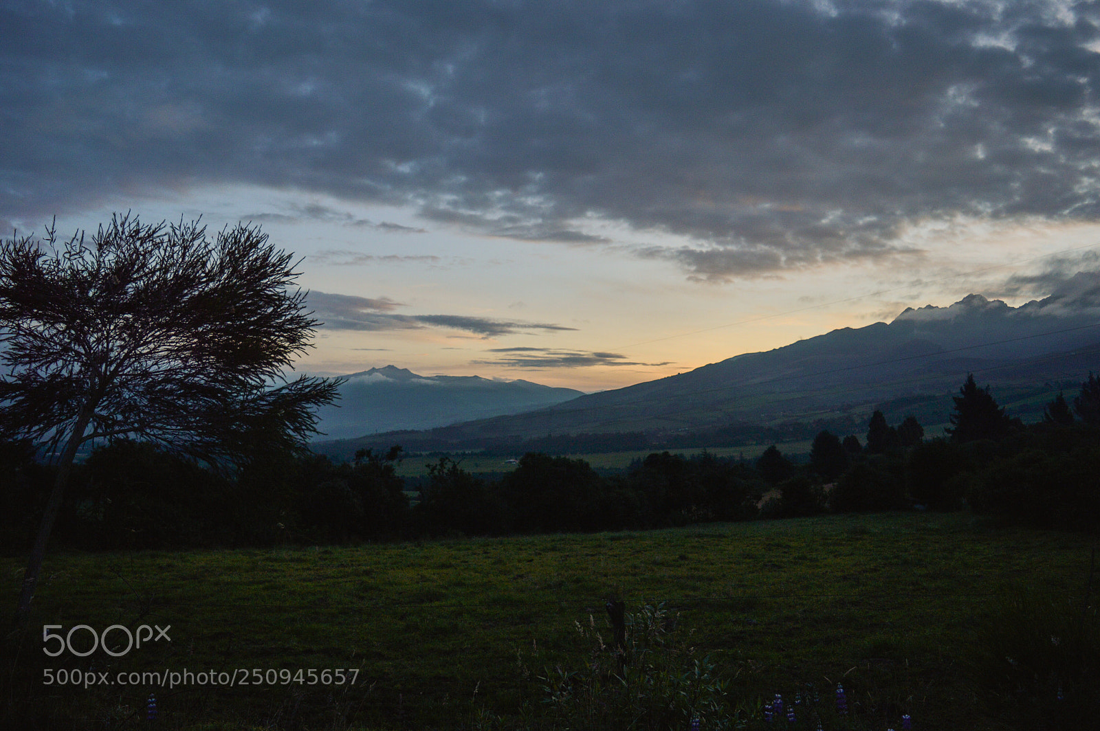 Nikon D3200 sample photo. Somewhere down the road  photography