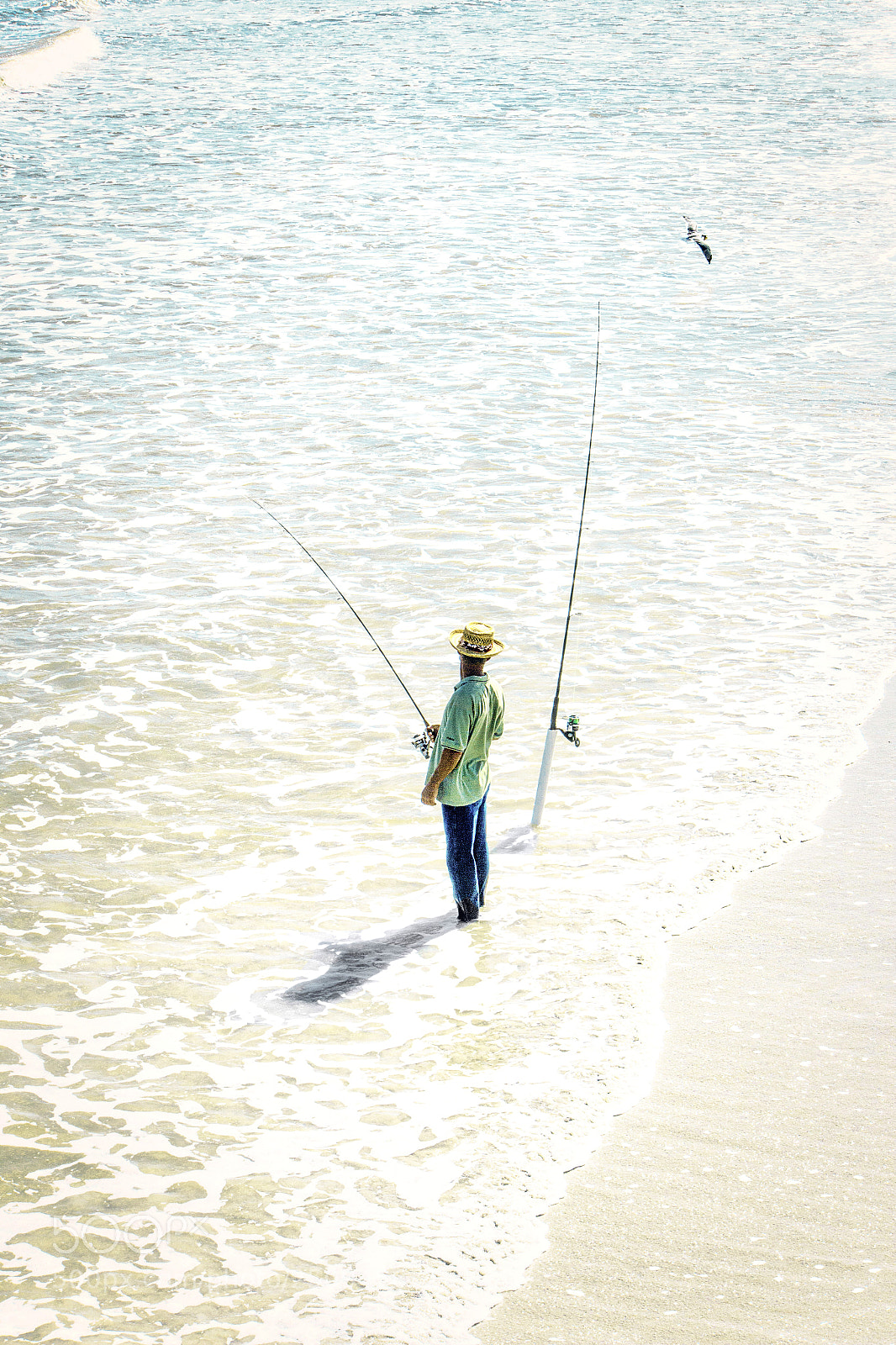 Canon EOS 600D (Rebel EOS T3i / EOS Kiss X5) sample photo. The fisherman photography