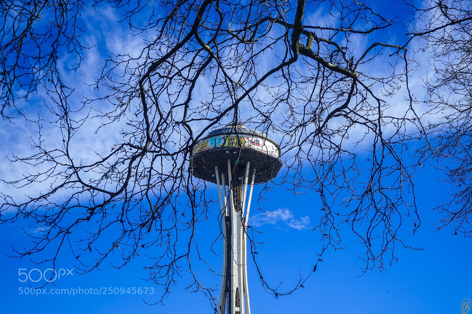Sony a7 II sample photo. Space needle behind branches photography