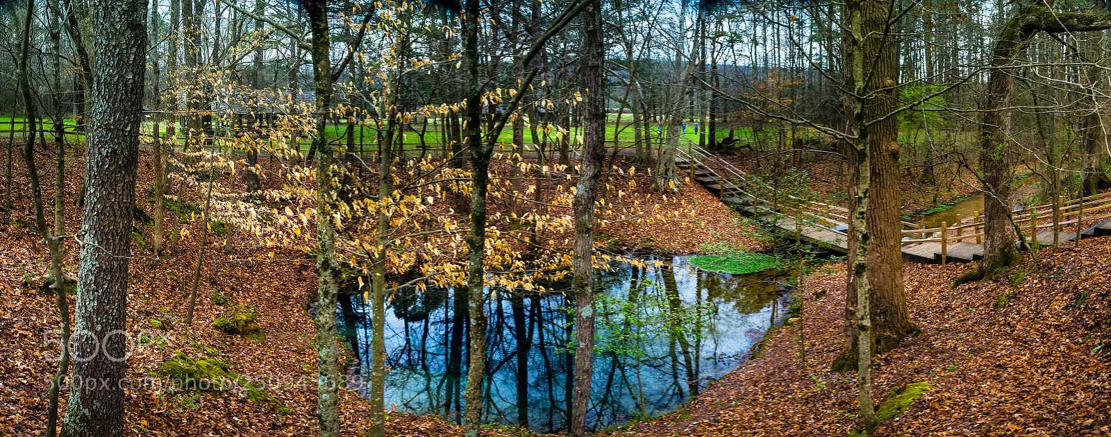 Nikon D7000 sample photo. Pano photography