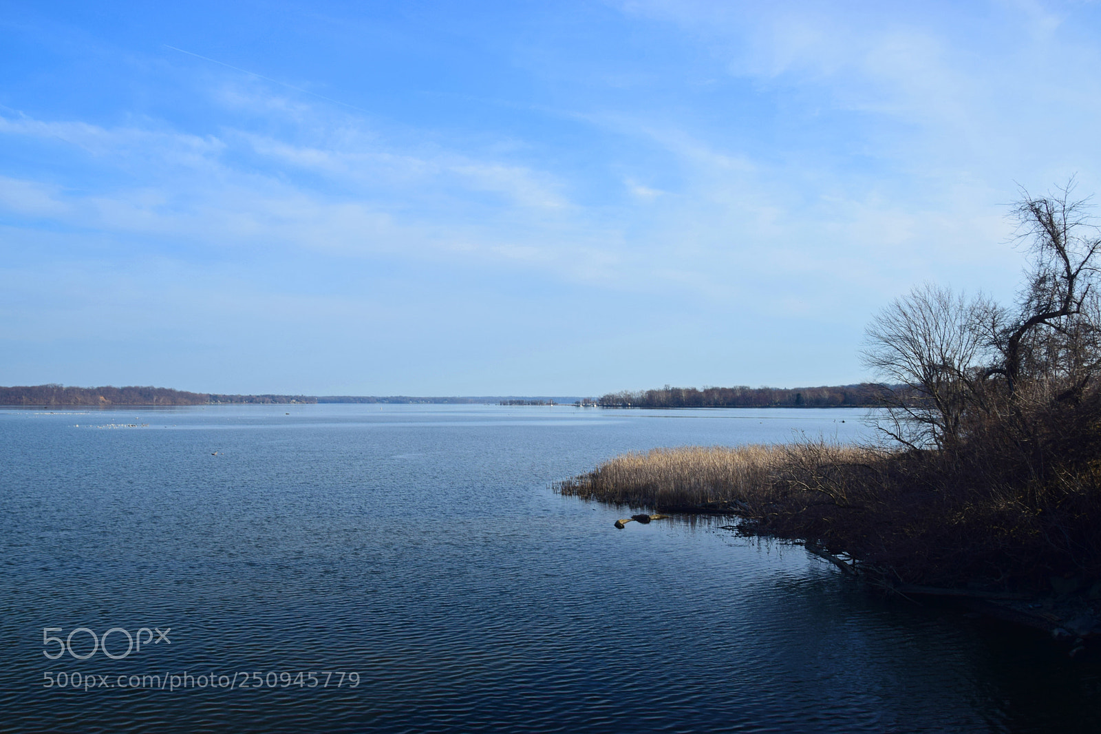 Nikon D5300 sample photo. Belle haven photography
