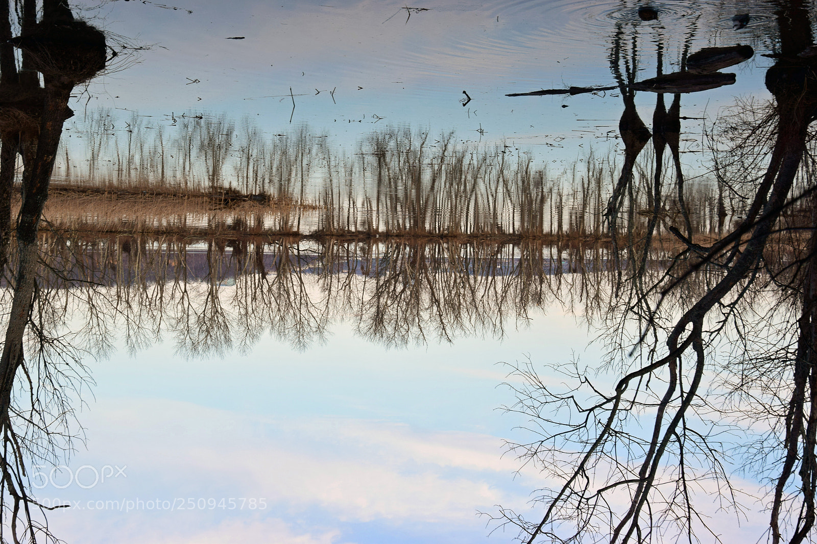 Nikon D5300 sample photo. River reflections photography