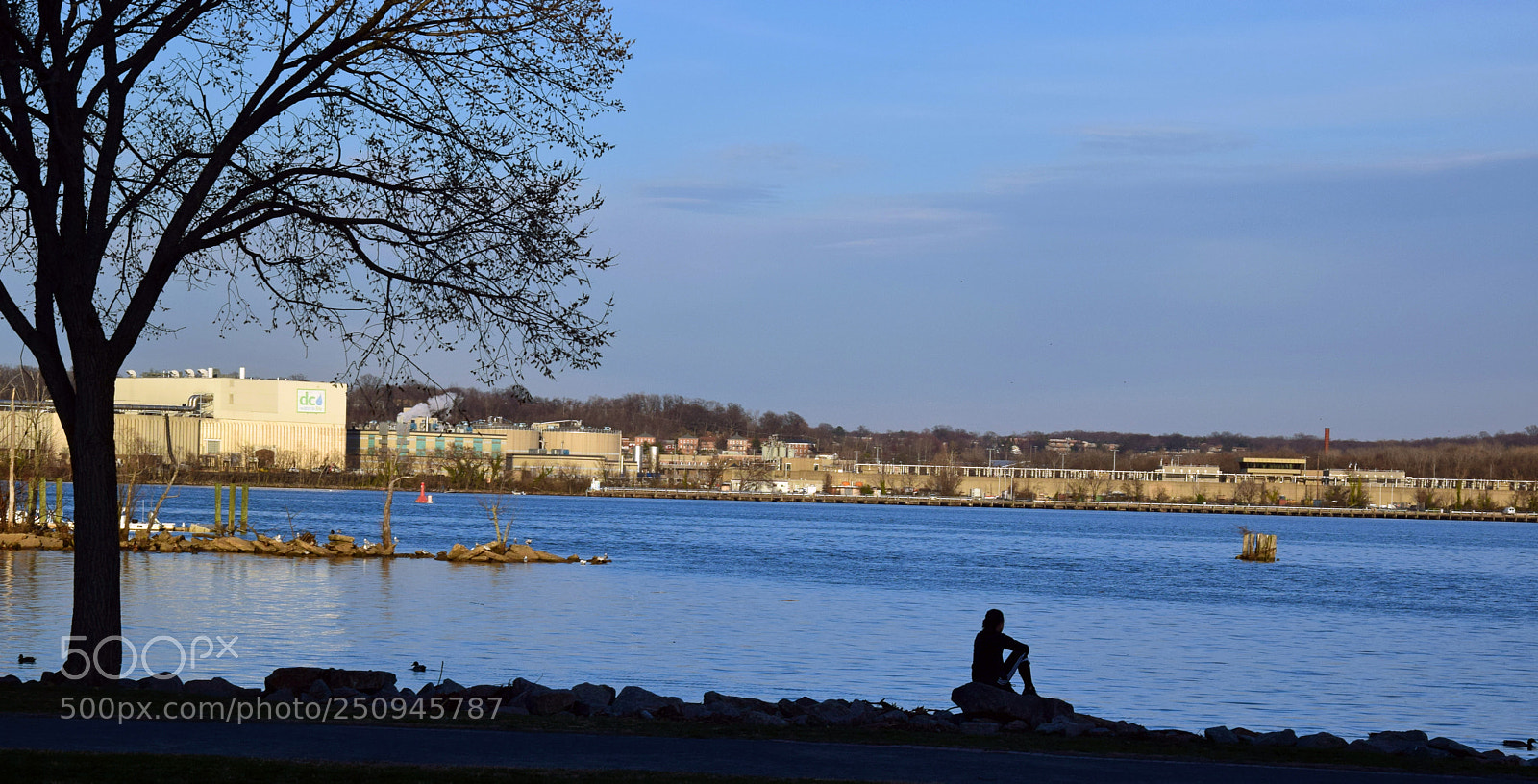 Nikon D5300 sample photo. Potomac pensieve photography