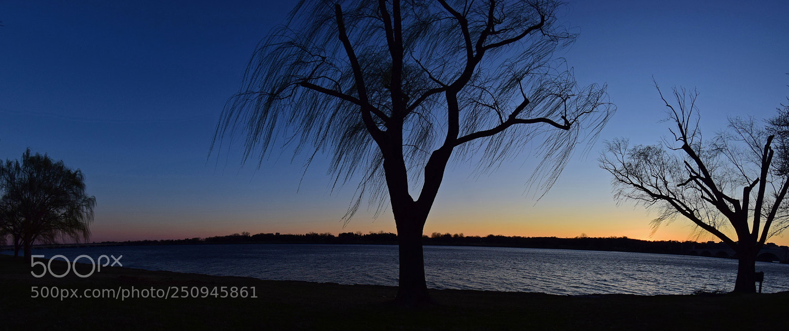 Nikon D5300 sample photo. Tidal basin sunset photography