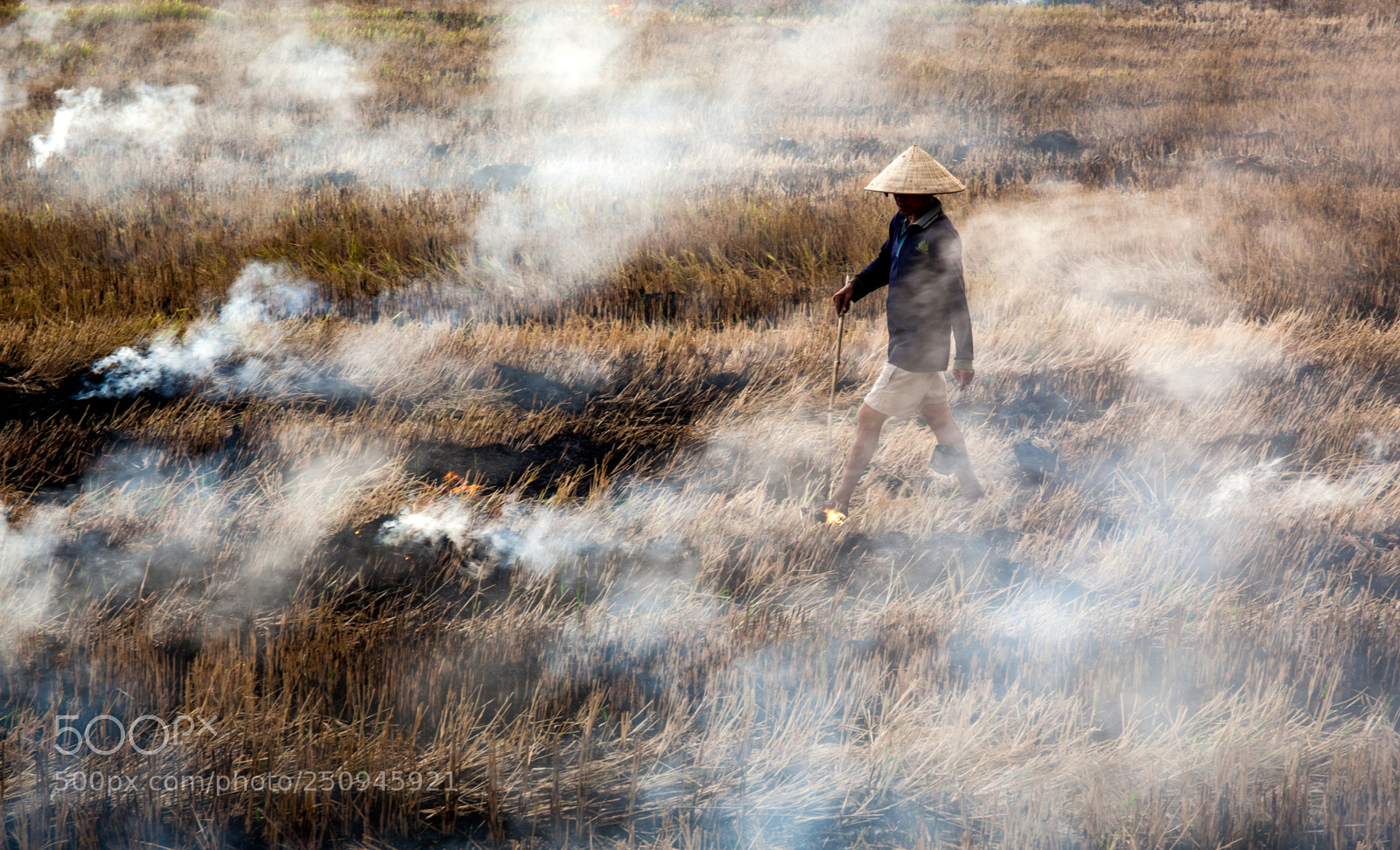 Canon EOS 5D Mark II sample photo. Burning copper photography