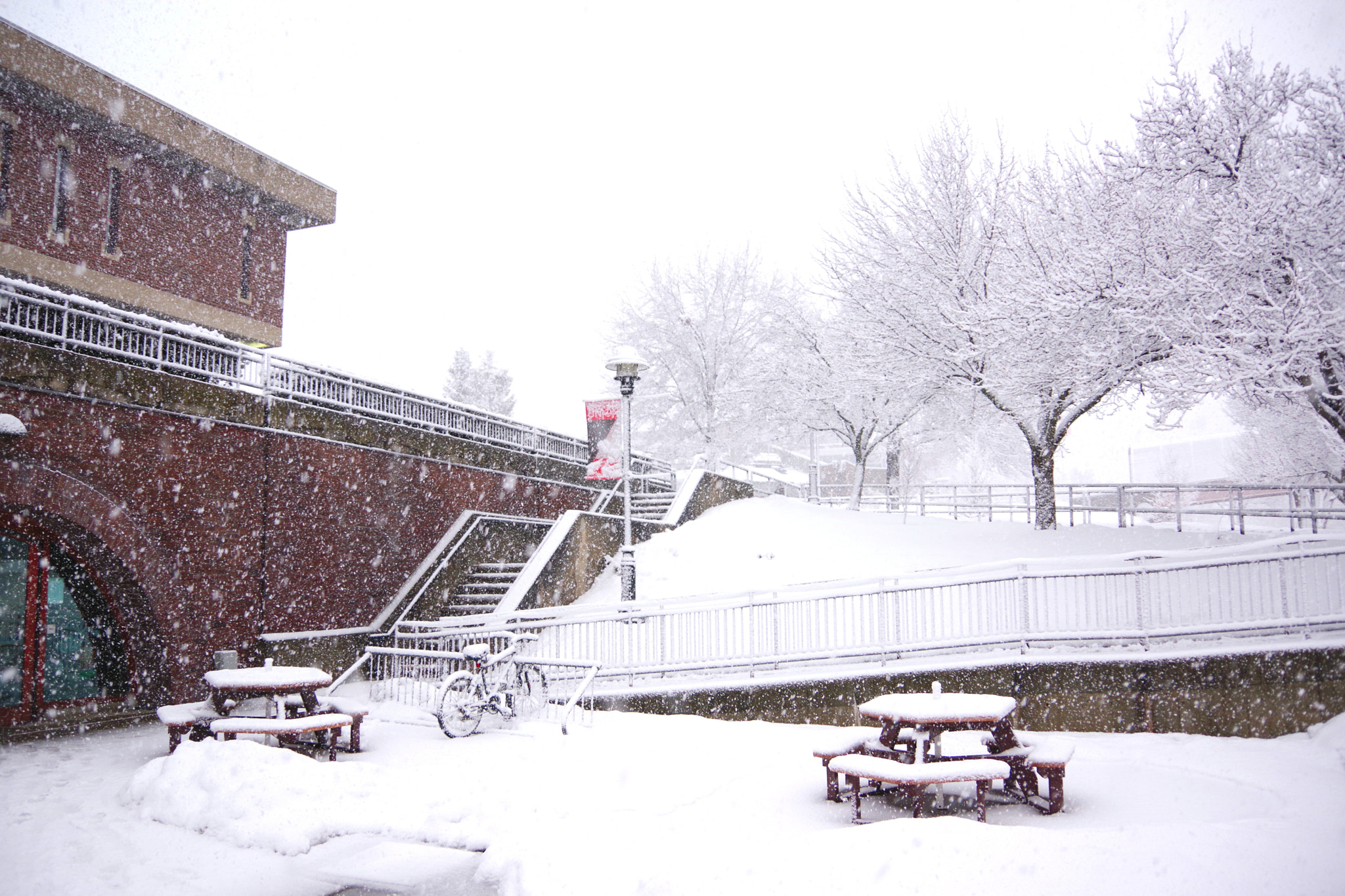 Pentax K-70 sample photo. Union in snow photography