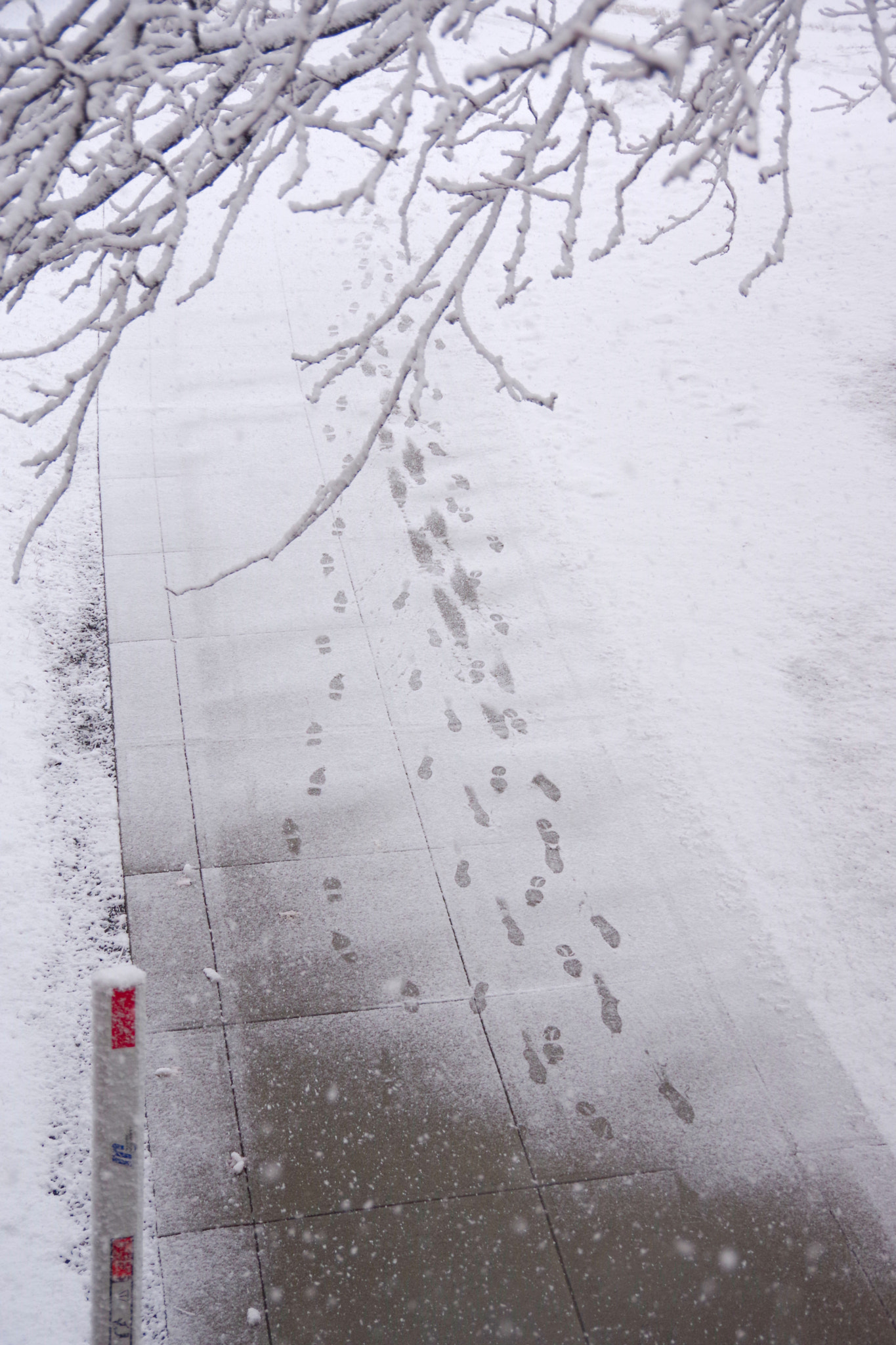 Pentax K-70 sample photo. Fresh tracks photography