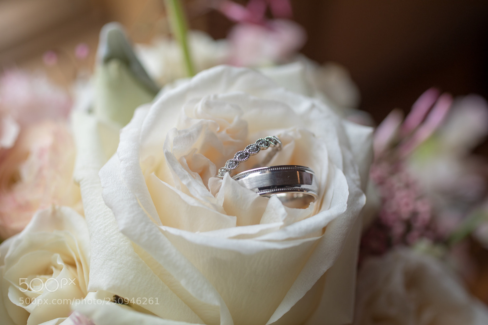 Canon EOS 5D Mark IV sample photo. Untitled photography