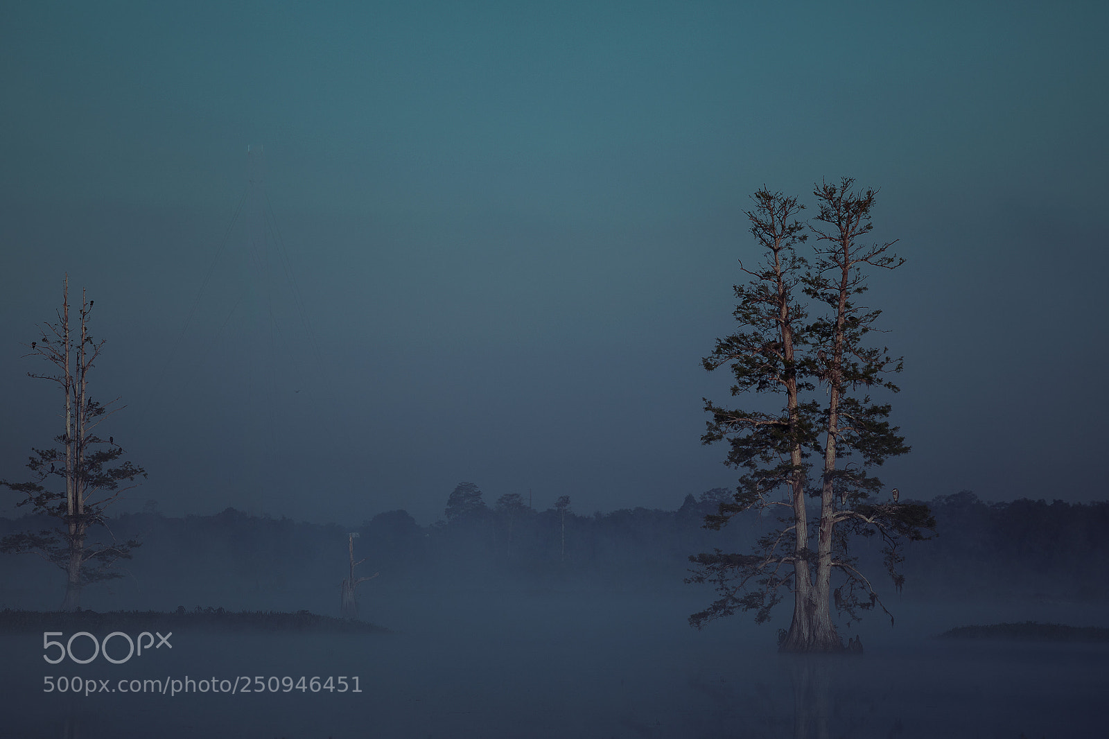 Canon EOS 5D Mark IV sample photo. In the mist photography