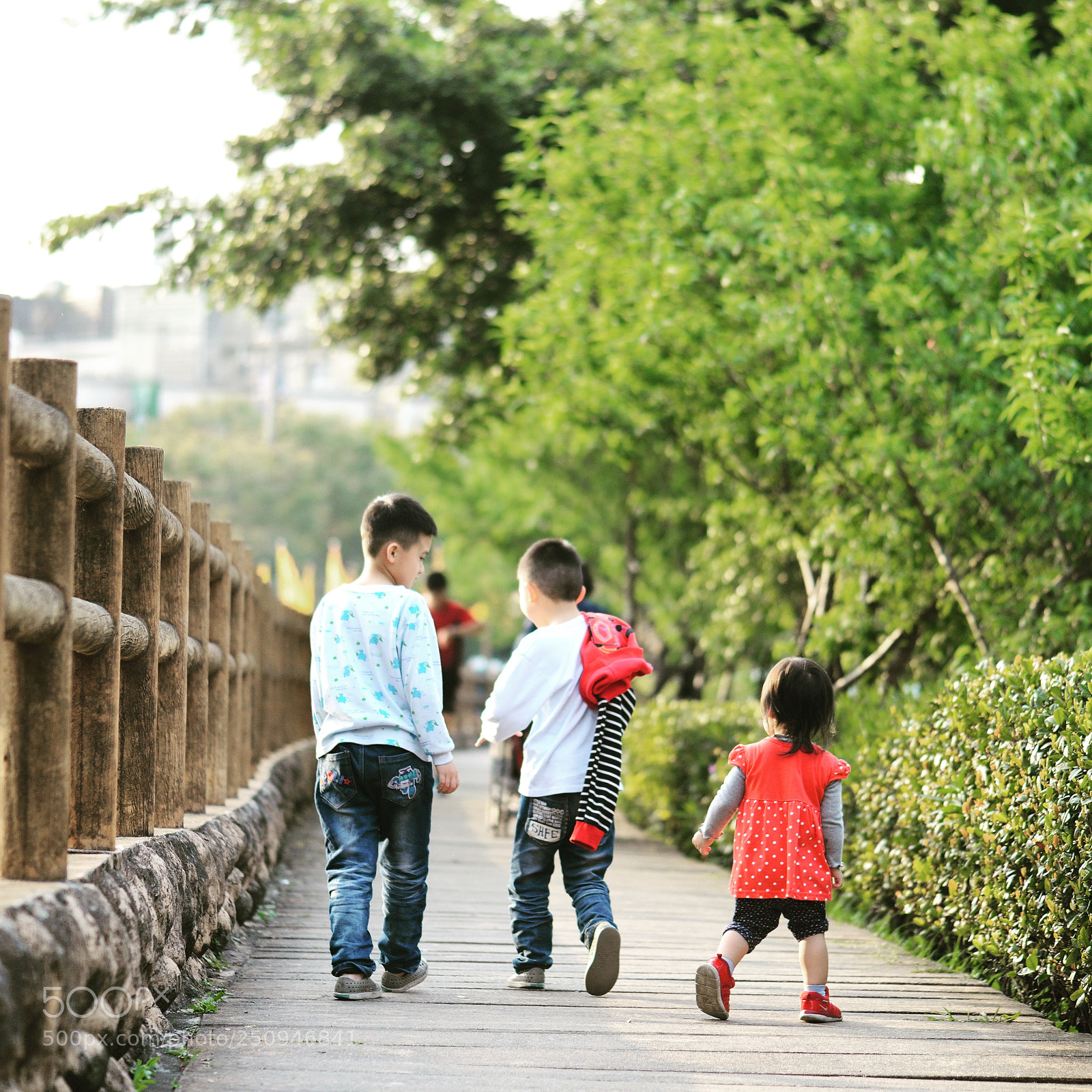 Nikon D800 sample photo. Untitled photography