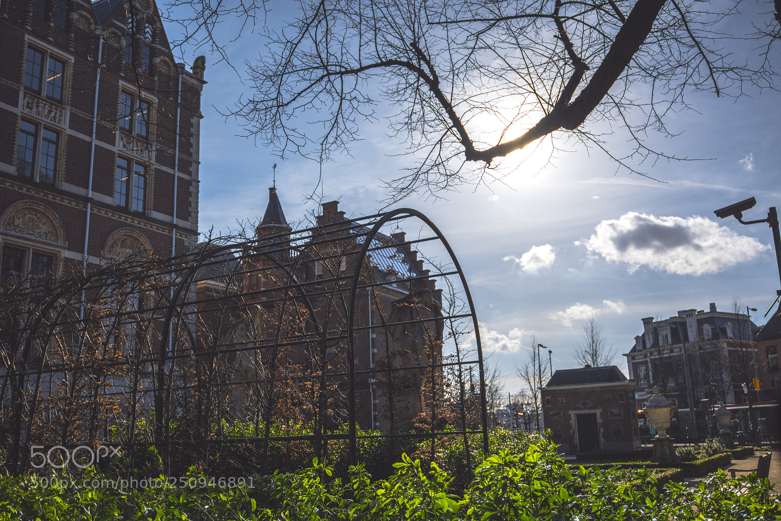 Nikon D810 sample photo. Rijksmuseum iib photography