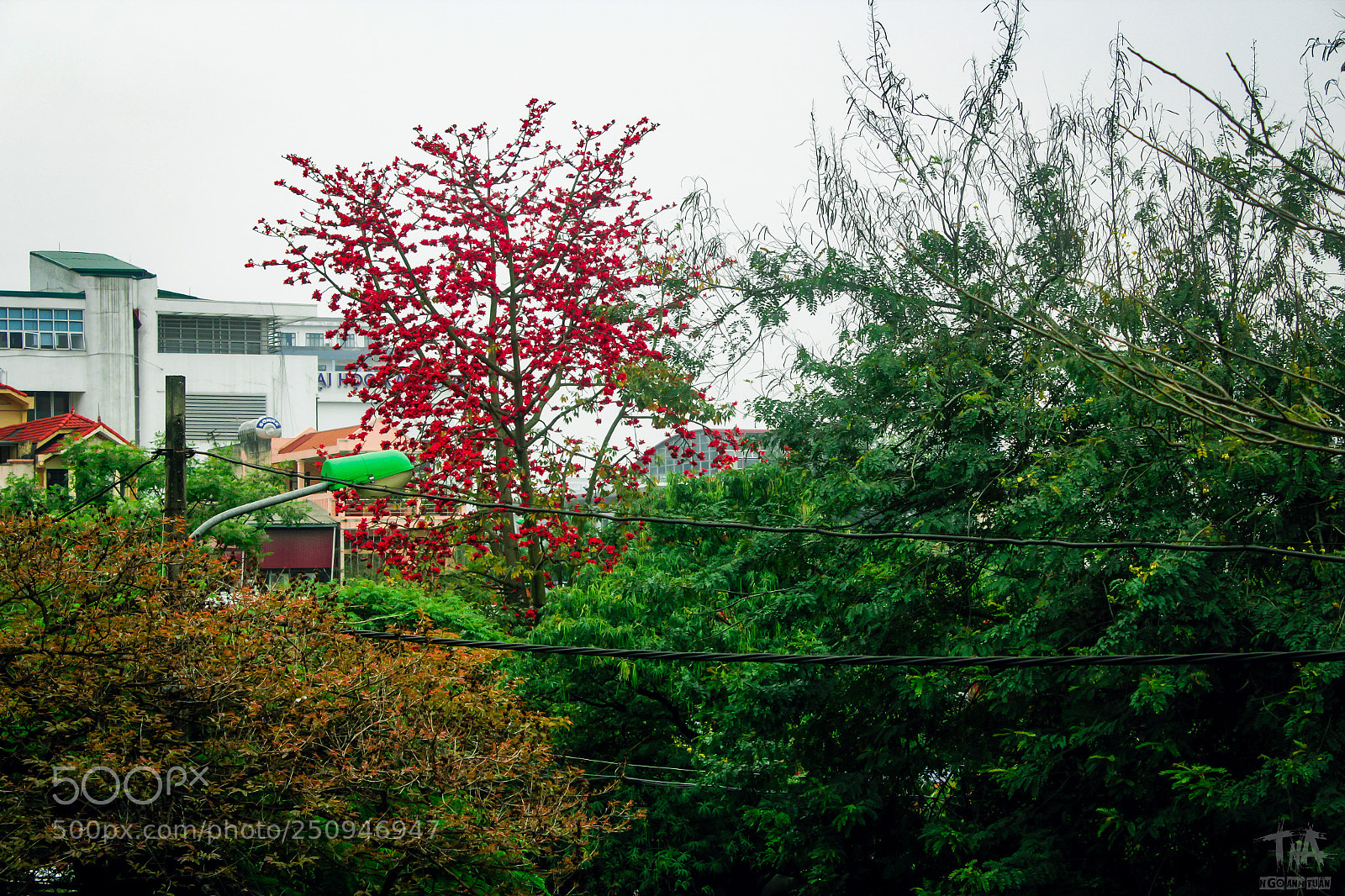 Canon EOS 60D sample photo. Color change photography
