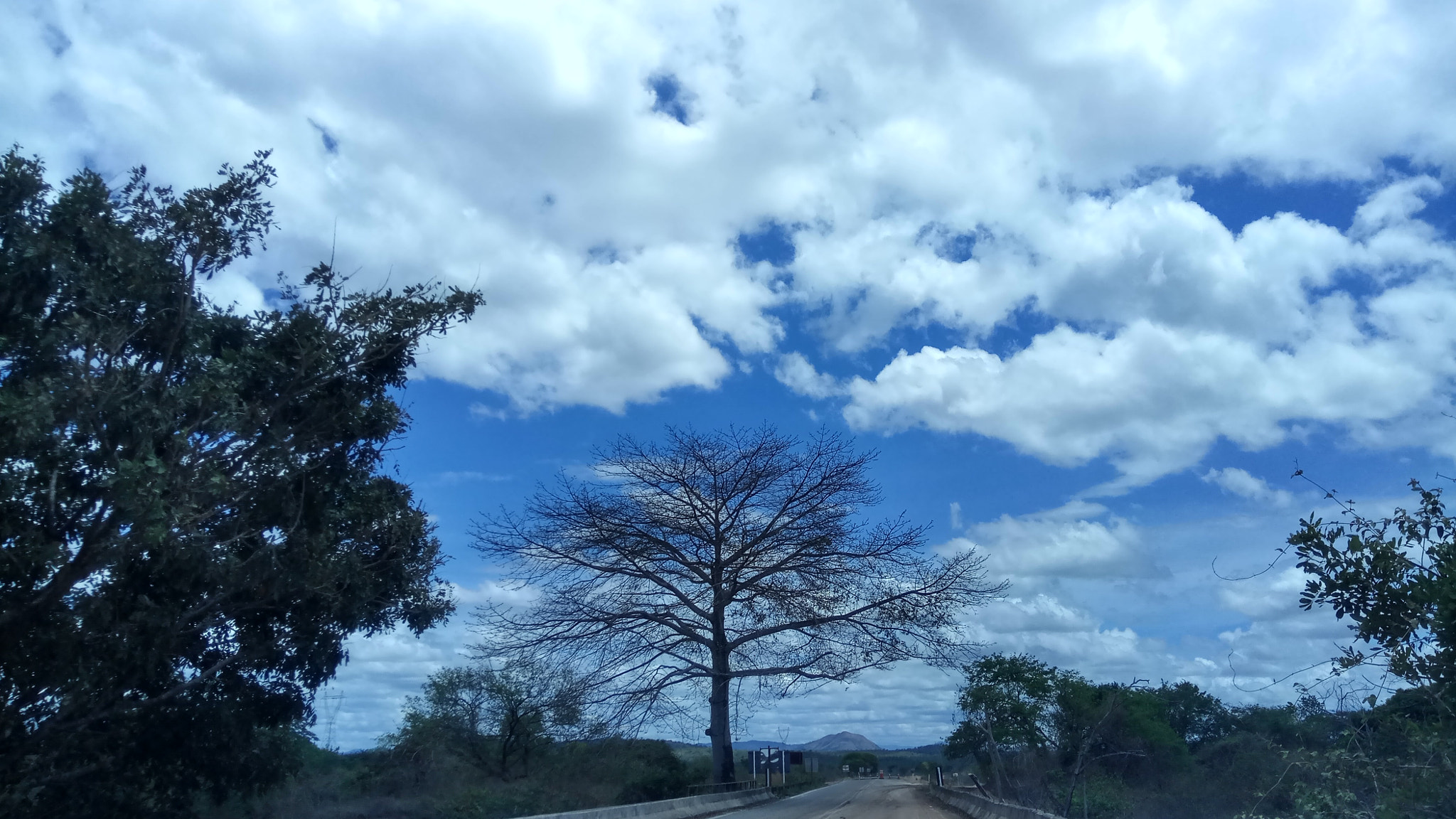 Xiaomi Redmi Pro sample photo