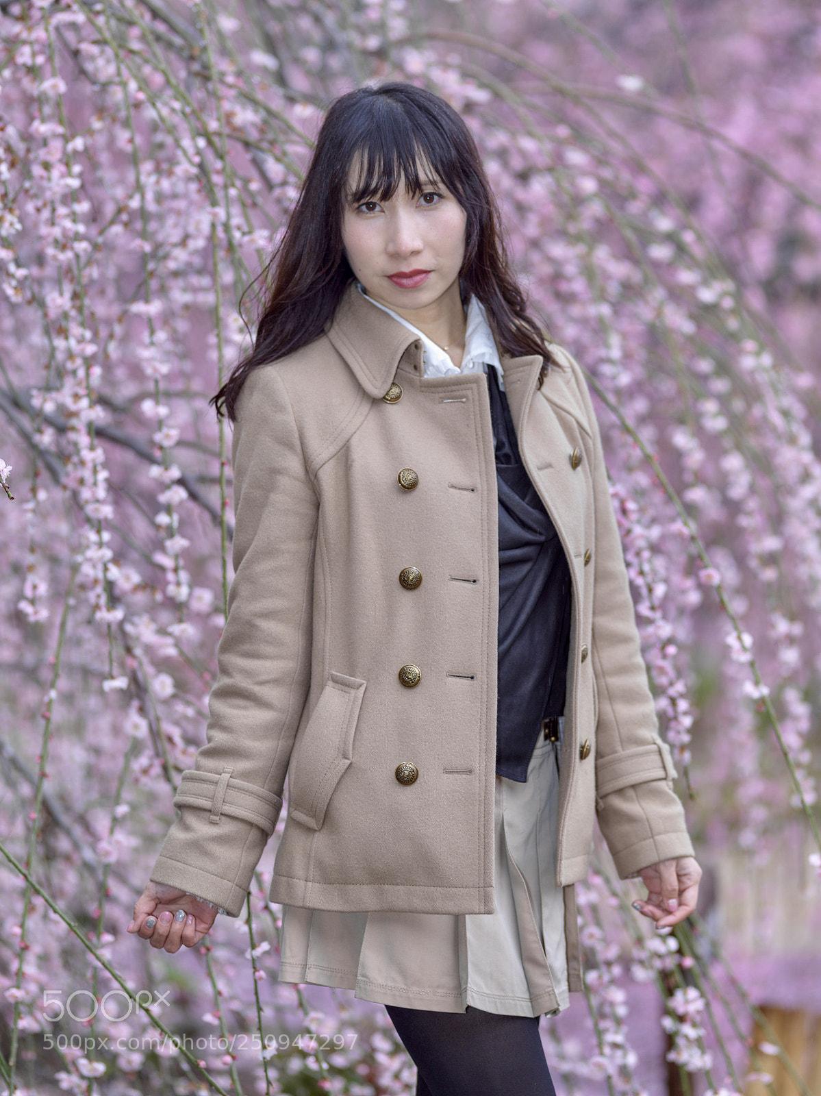 Hasselblad X1D-50c sample photo. Flower of a weeping photography
