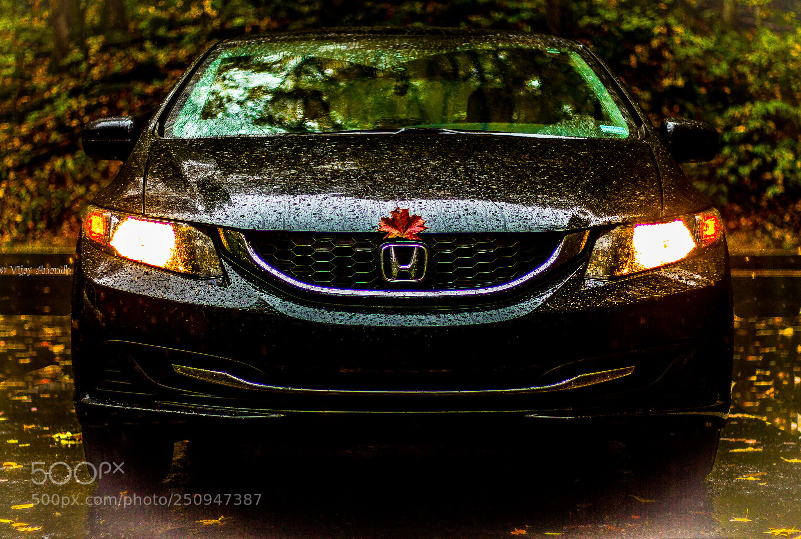 Canon EOS 700D (EOS Rebel T5i / EOS Kiss X7i) sample photo. Anto's chariot.jpg photography
