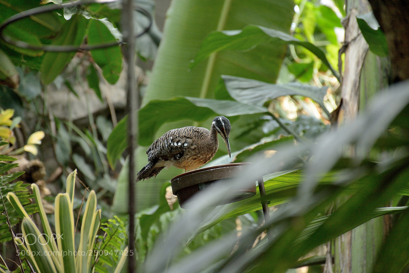 Nikon D7100 sample photo. Nature photography