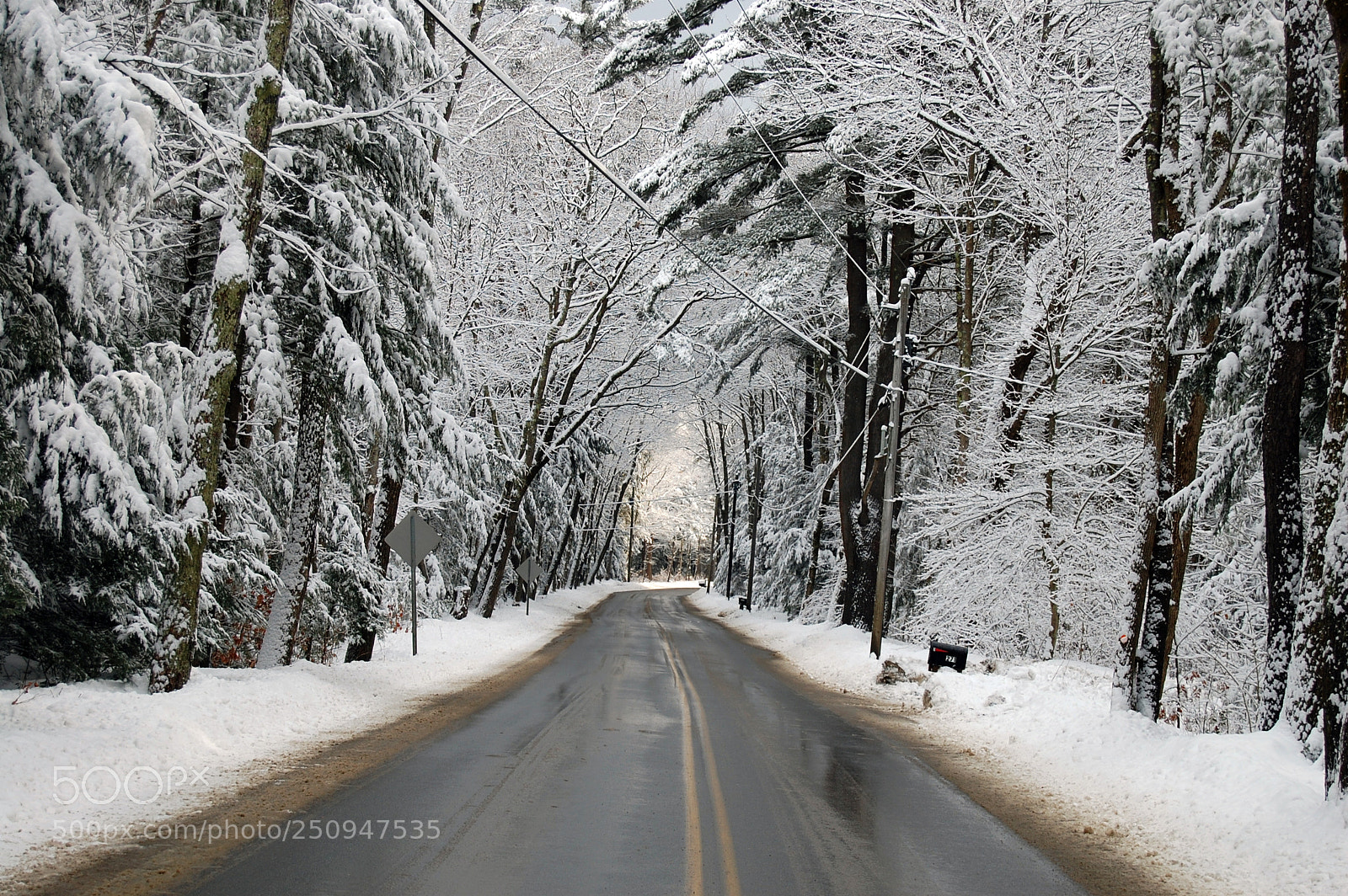 Nikon D40 sample photo. A winter adventure photography