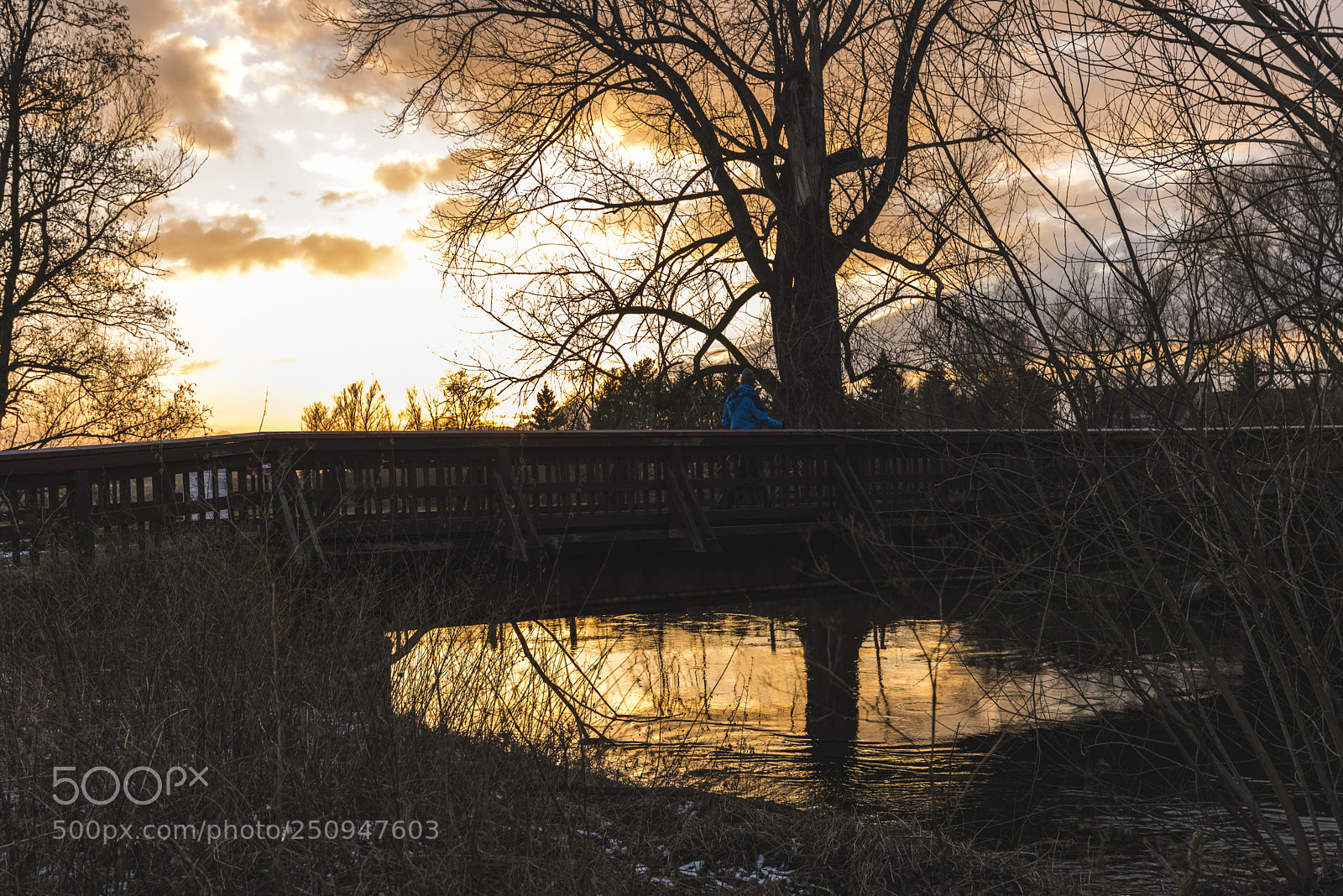 Nikon D810 sample photo. Braunschweig sunset photography